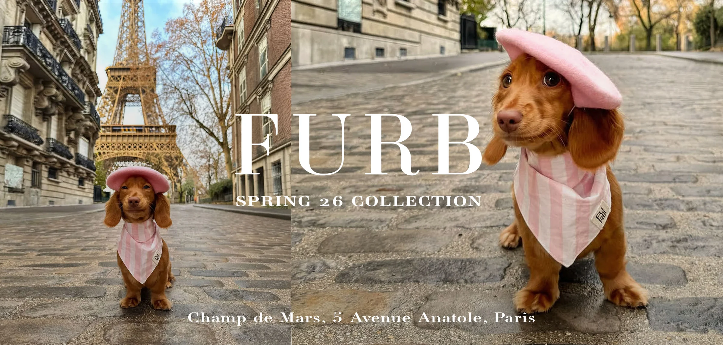 Modern Fashion for Modern Pets