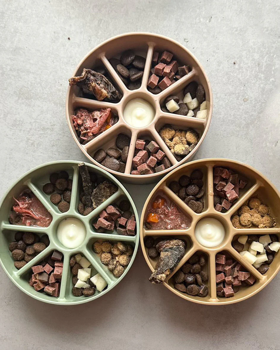Bento Bites Tan 3-in-1 Slow Feeder - Image 7