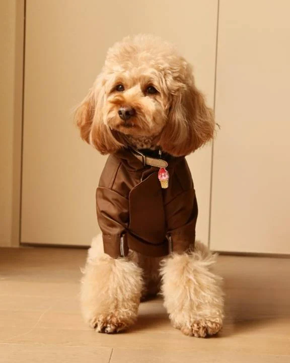 Make A Splash Brown Rain Jacket - Image 7