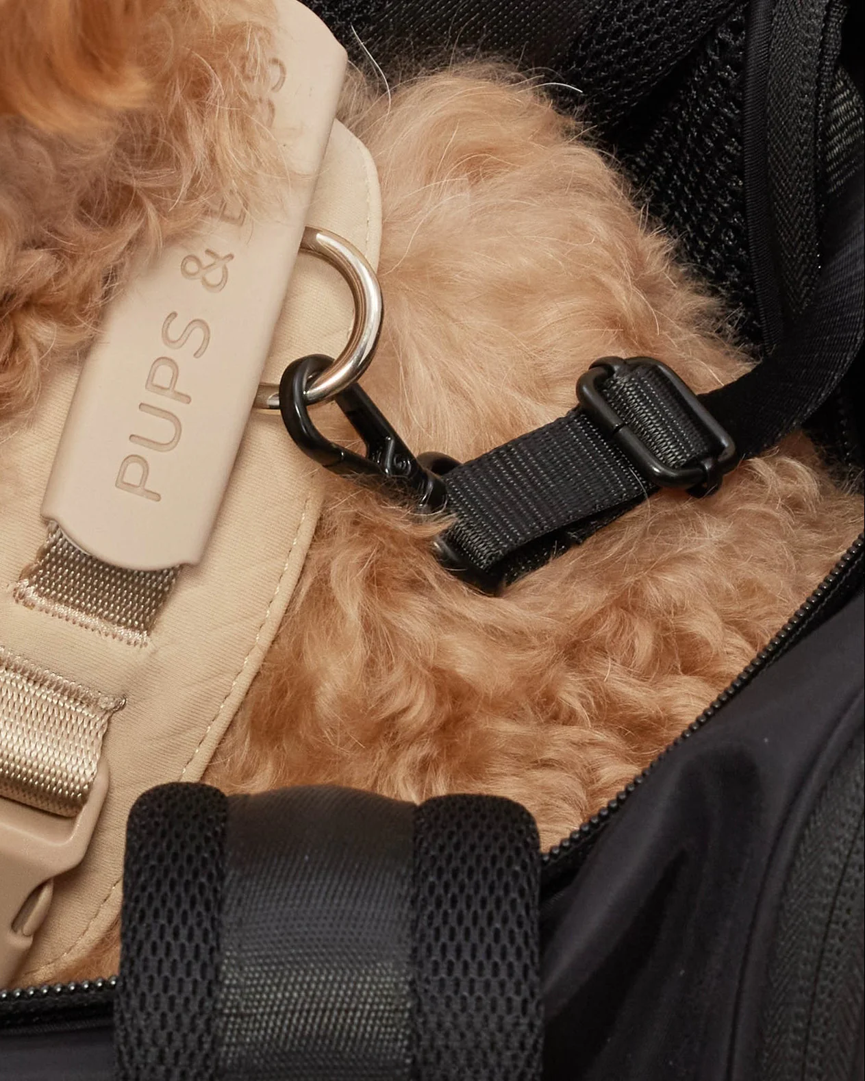 Welcome Aboard Travel Carrier in Black - Image 8