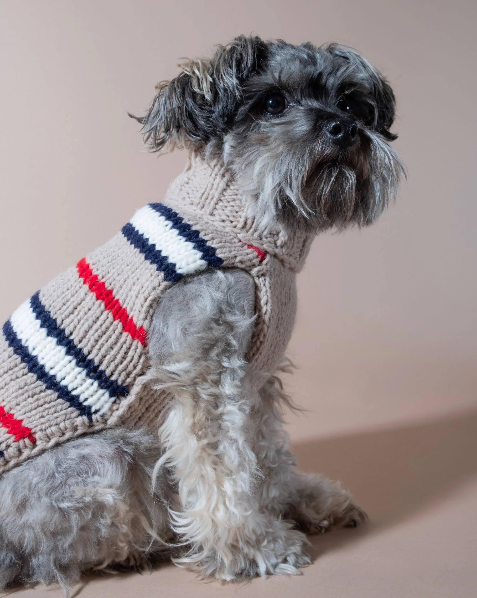 Book Club Tan Striped Alpaca Sweater - Image 4