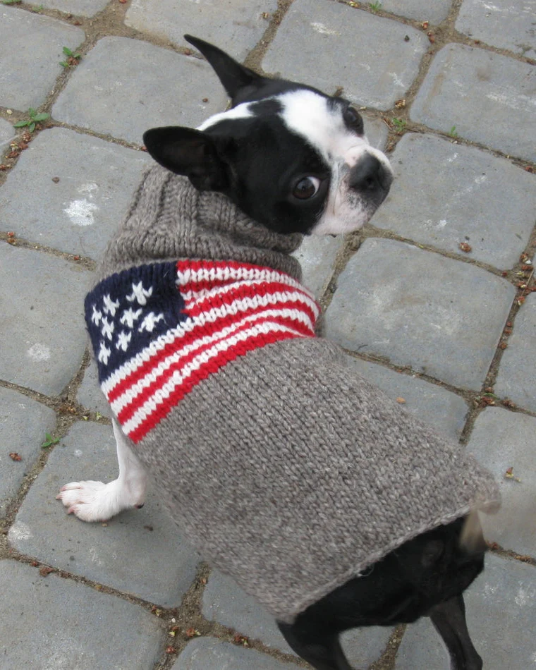 Red, White + Woof American Flag Dog Sweater - Image 4