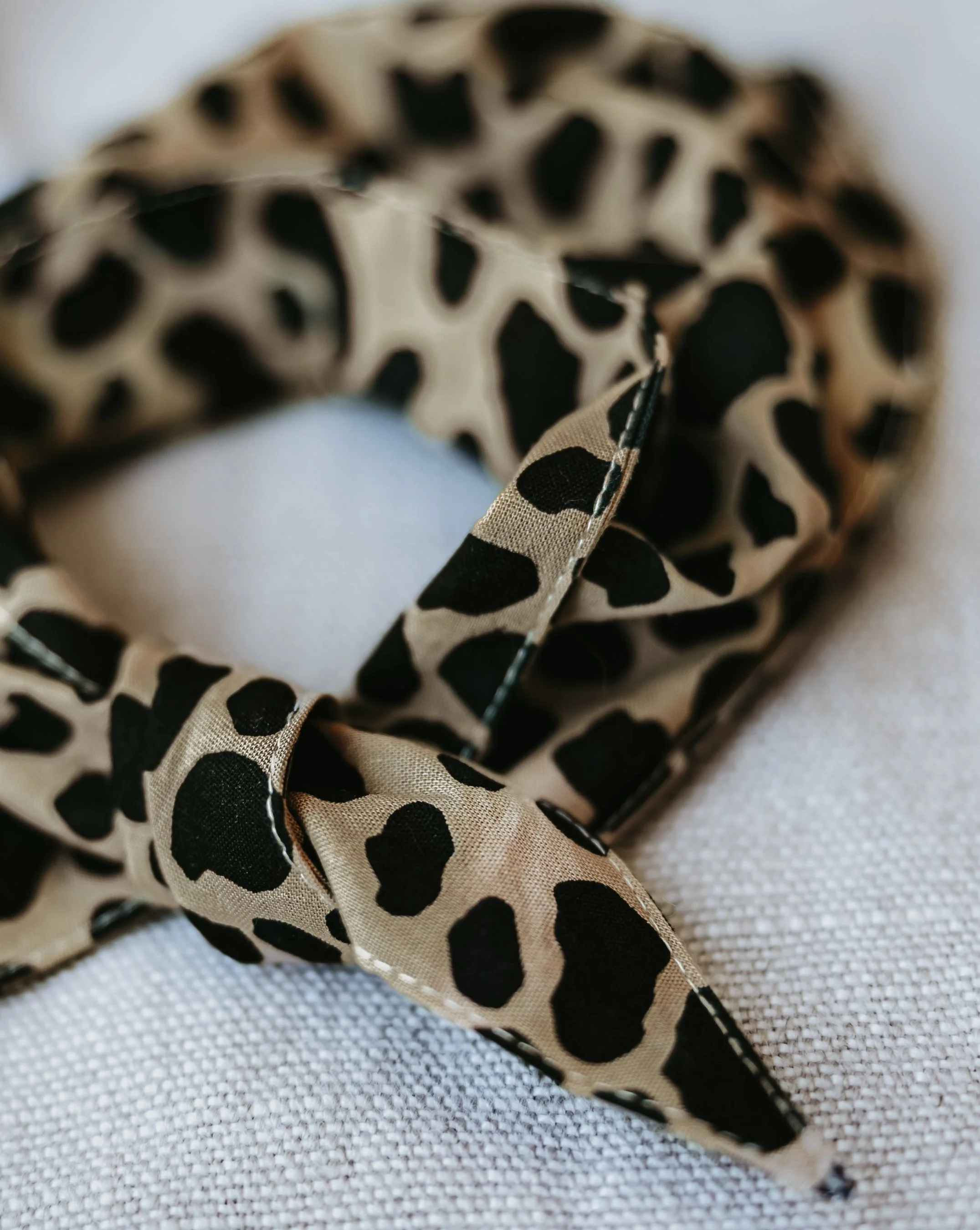 Hemlock Leopard Dog Bandana - Image 3