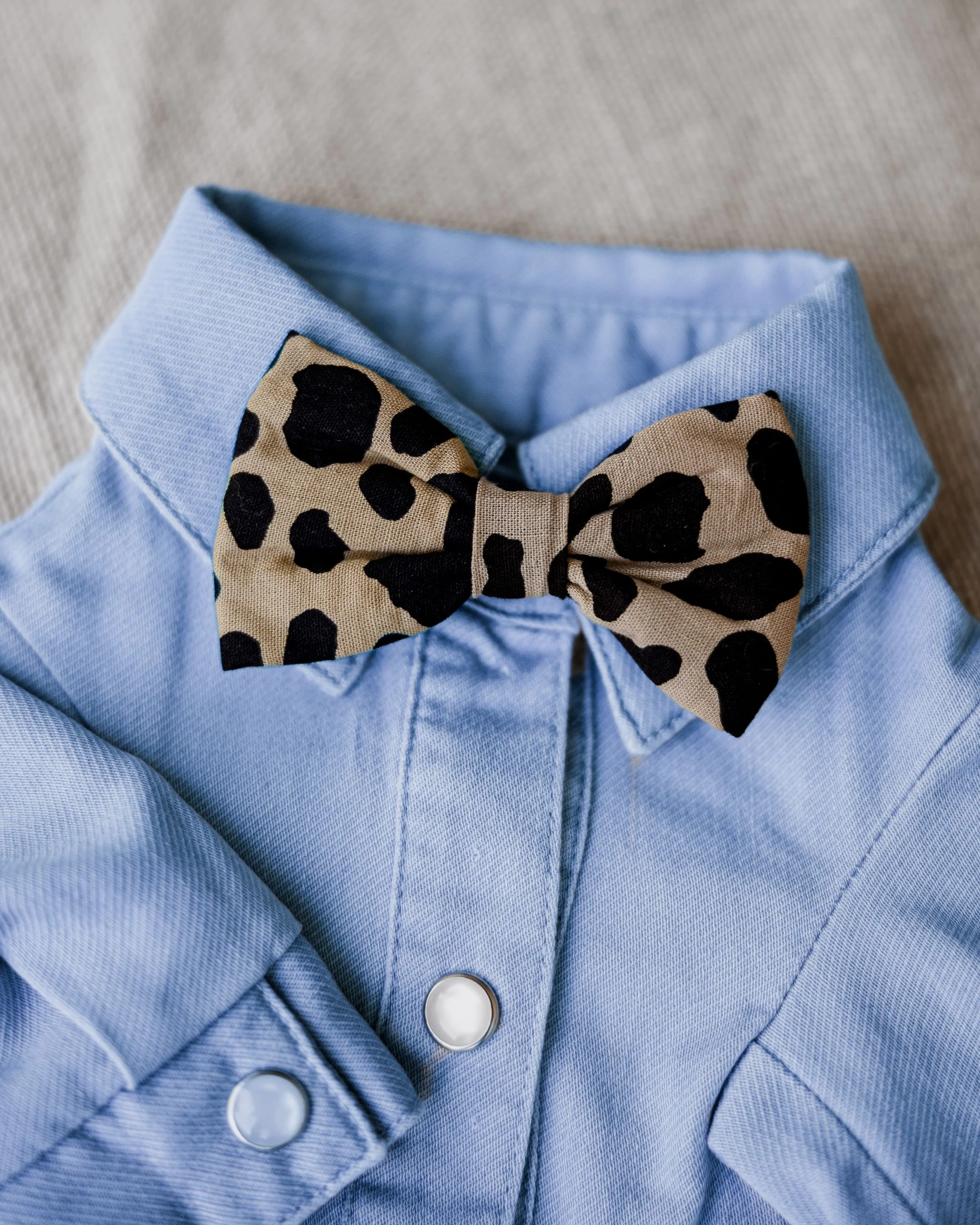 Hemlock Leopard Dog Bow Tie