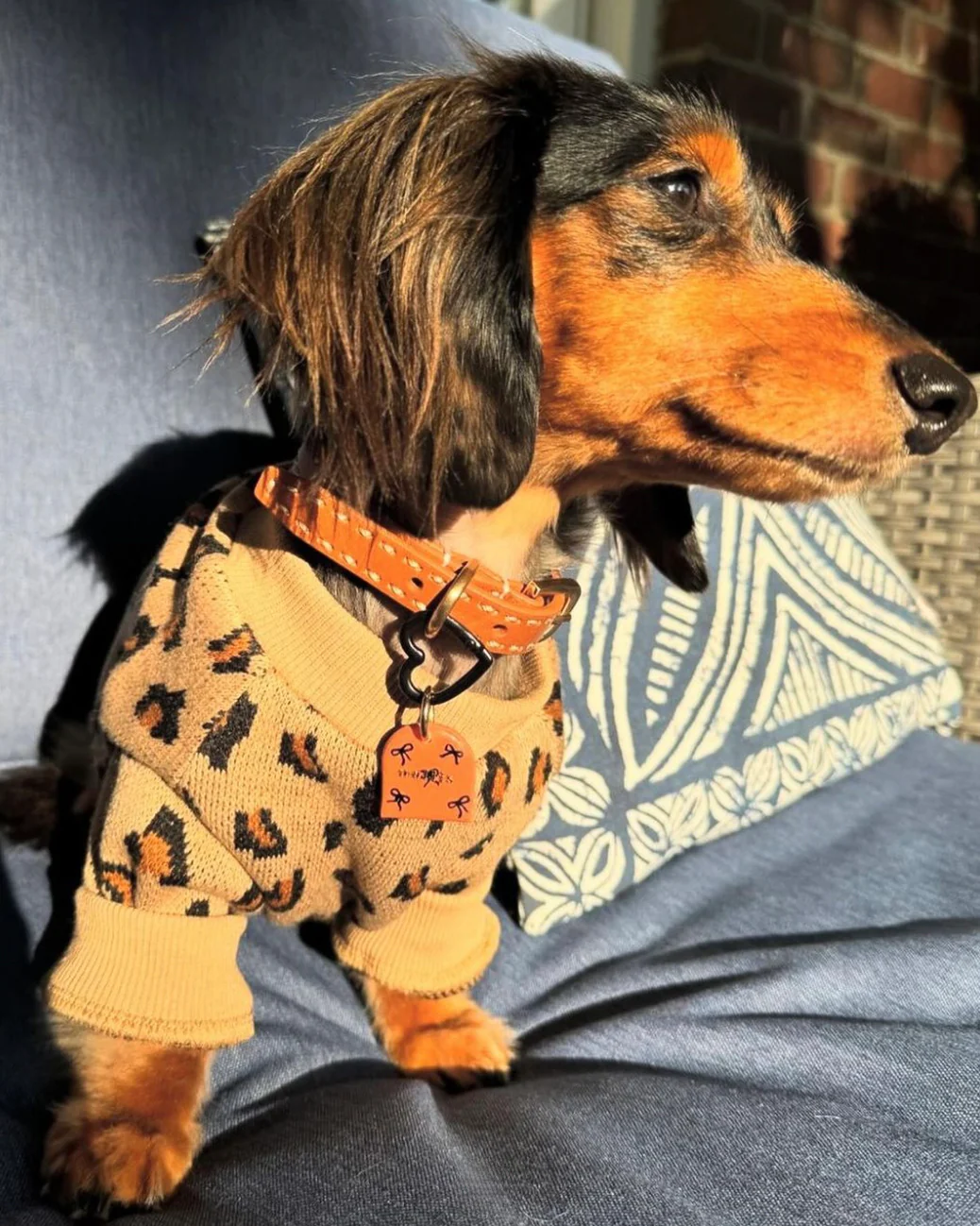 Wild Child Tan Leopard Print Dog Sweatshirt - Image 4