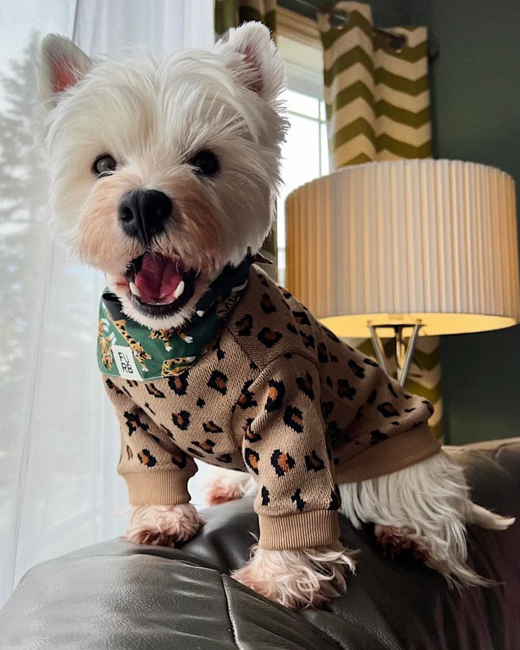 Wild Child Tan Leopard Print Dog Sweatshirt - Image 7