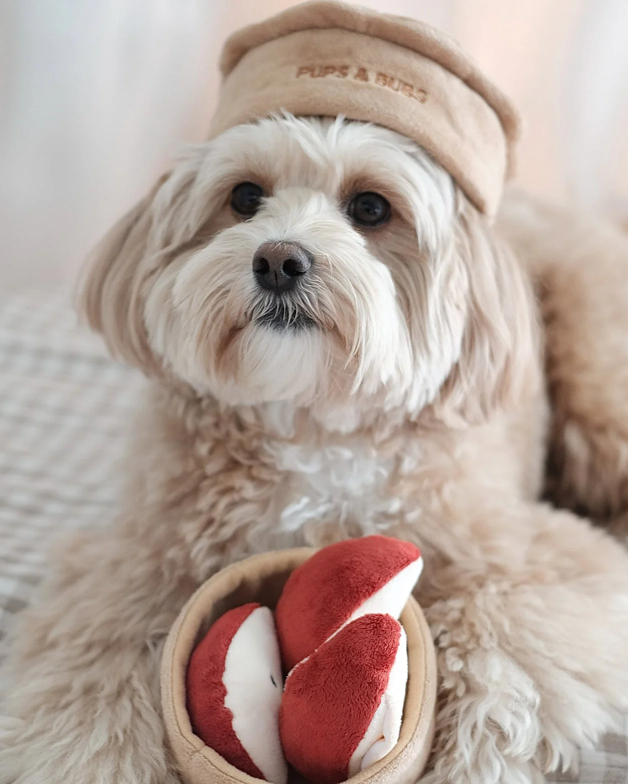 Sweet As Pie Snuffle Dog Toy