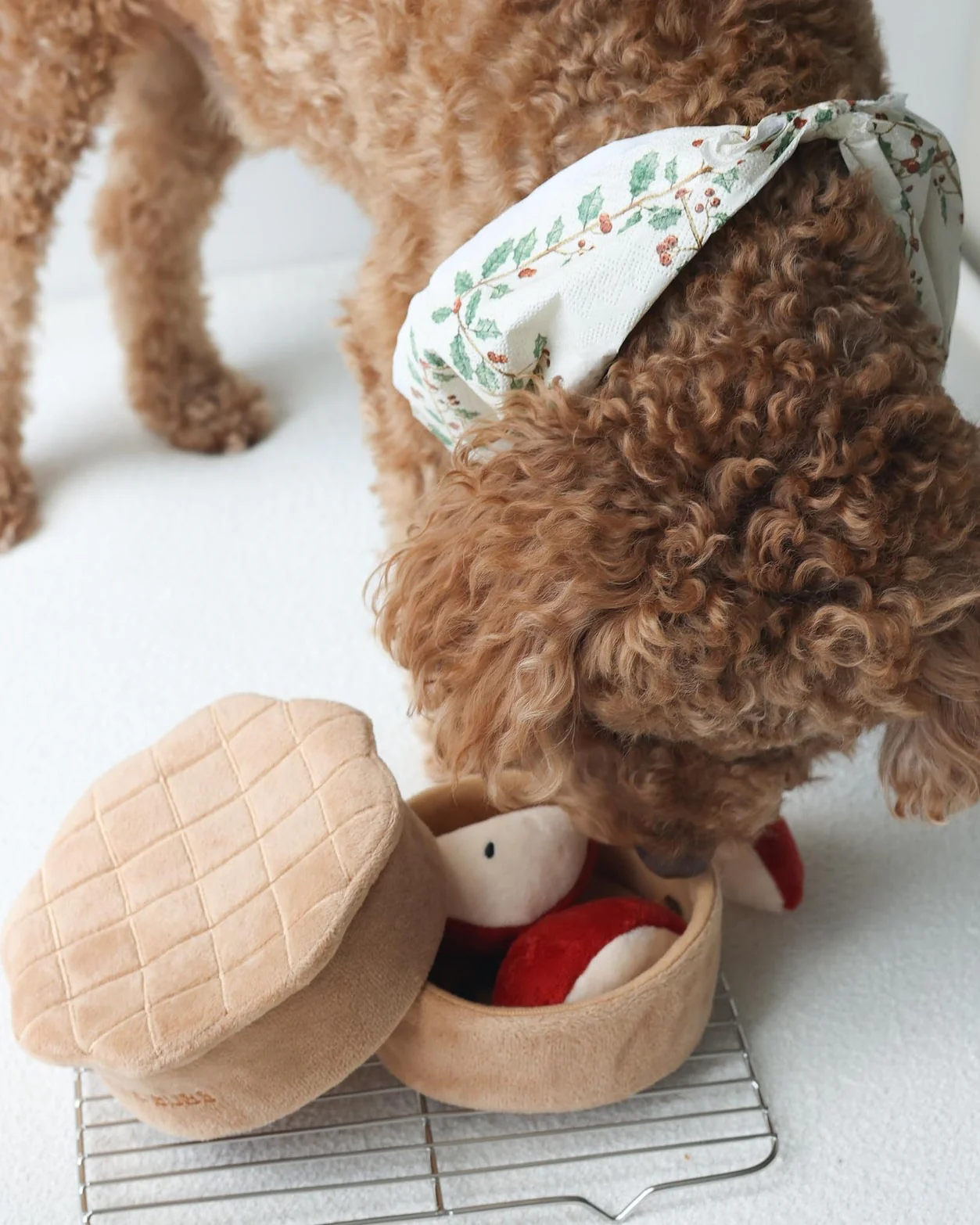 Sweet As Pie Snuffle Dog Toy - Image 2