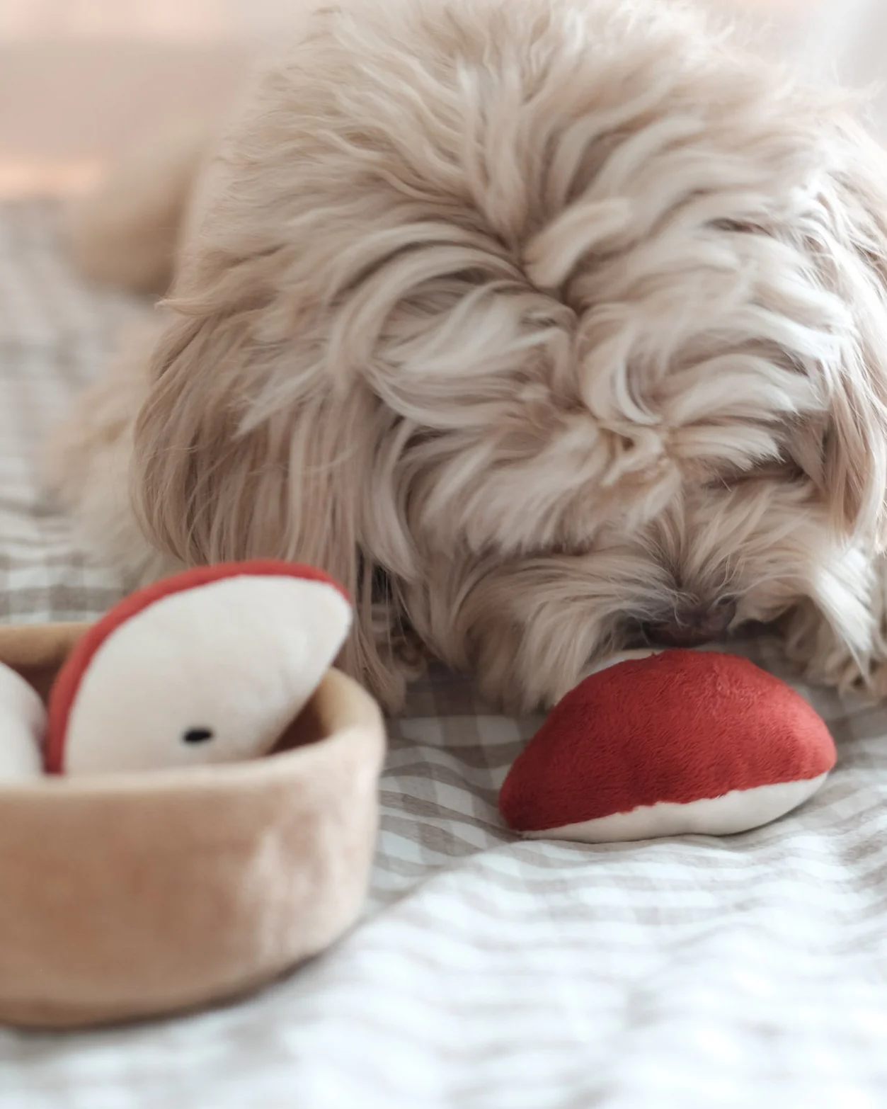 Sweet As Pie Snuffle Dog Toy - Image 6