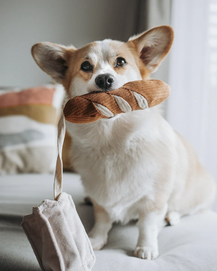 Mini Can't Baguette Enough Dog Toy