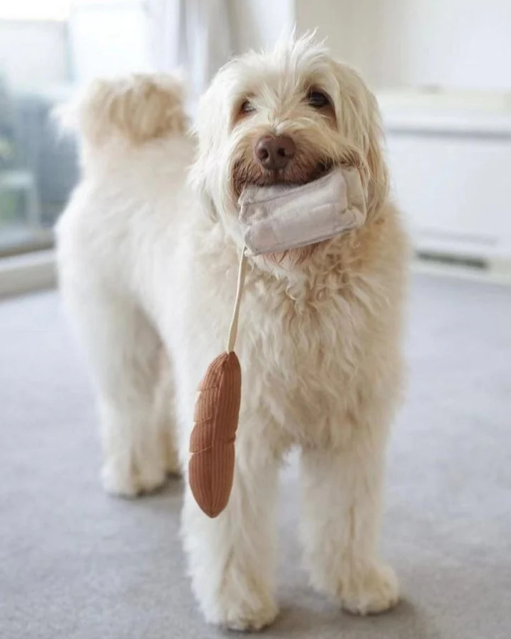 Mini Can't Baguette Enough Dog Toy - Image 5