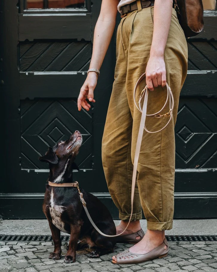 Band & Roll Crossbody Leash in Latte - Image 2