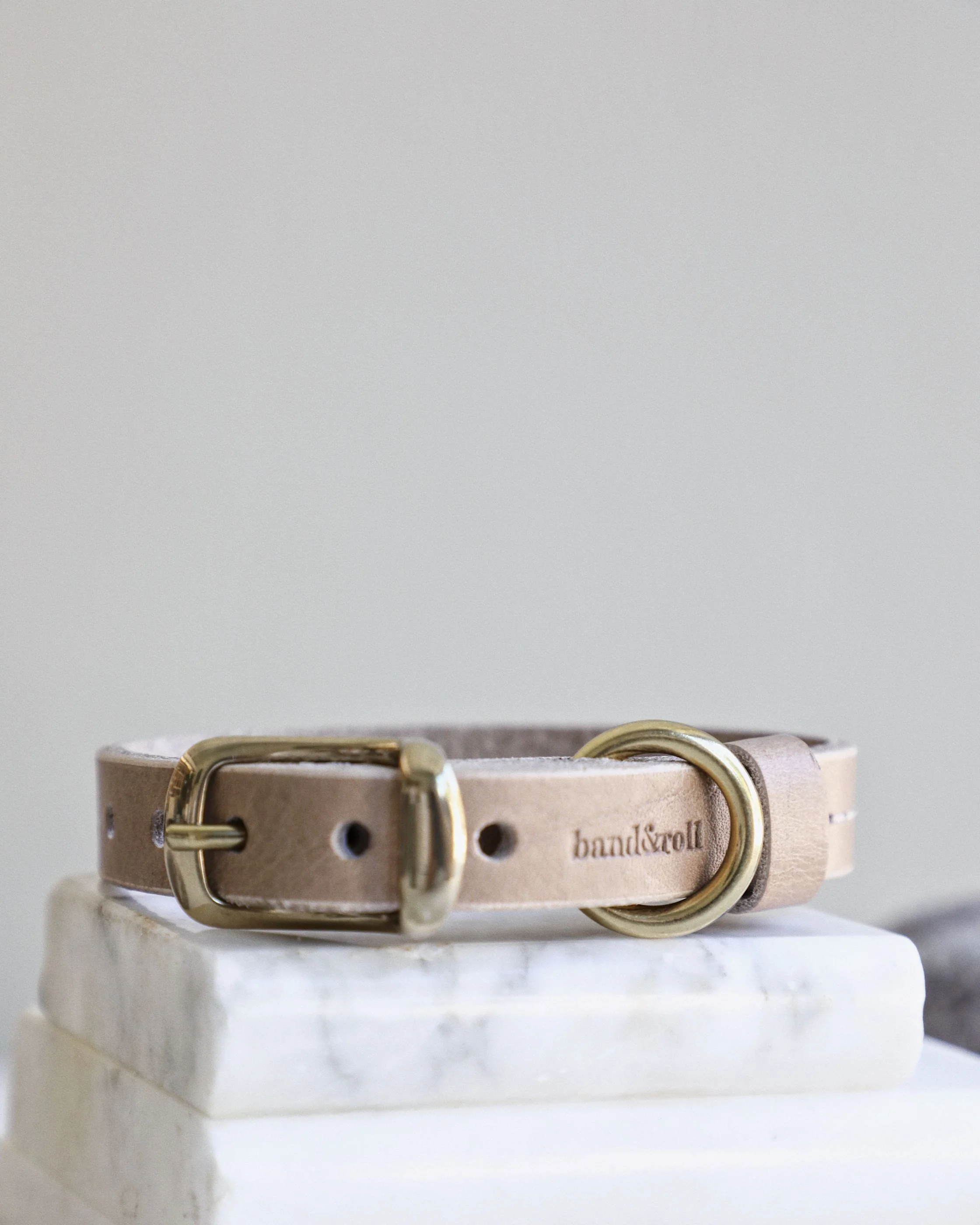 Band & Roll Leather Dog Collar in Latte