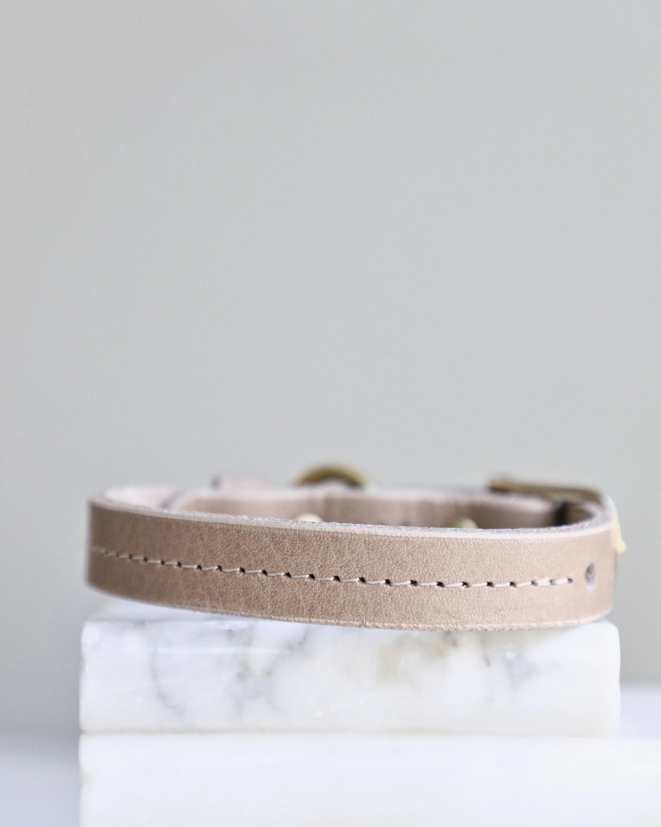 Band & Roll Leather Dog Collar in Latte - Image 3