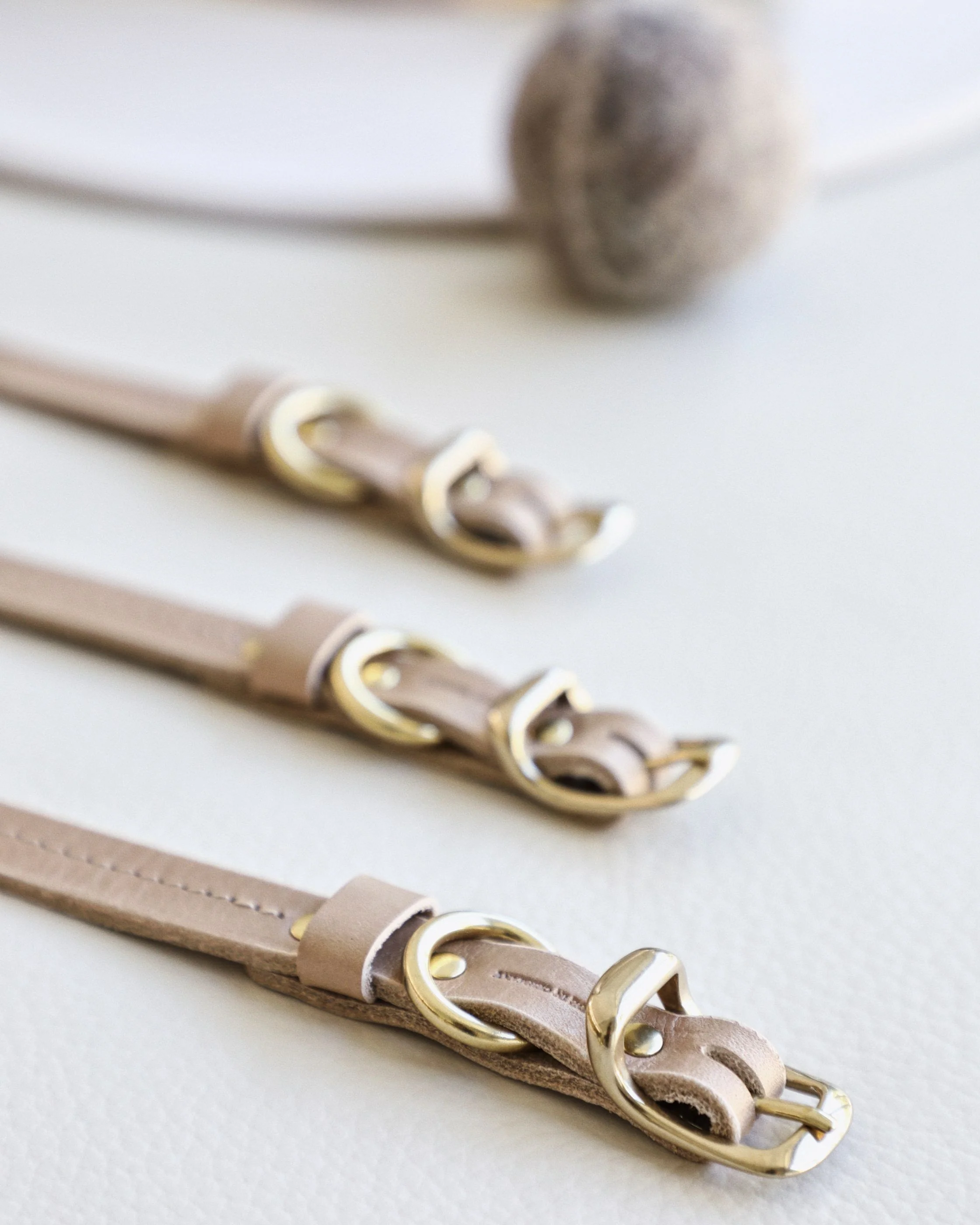 Band & Roll Leather Dog Collar in Latte - Image 4