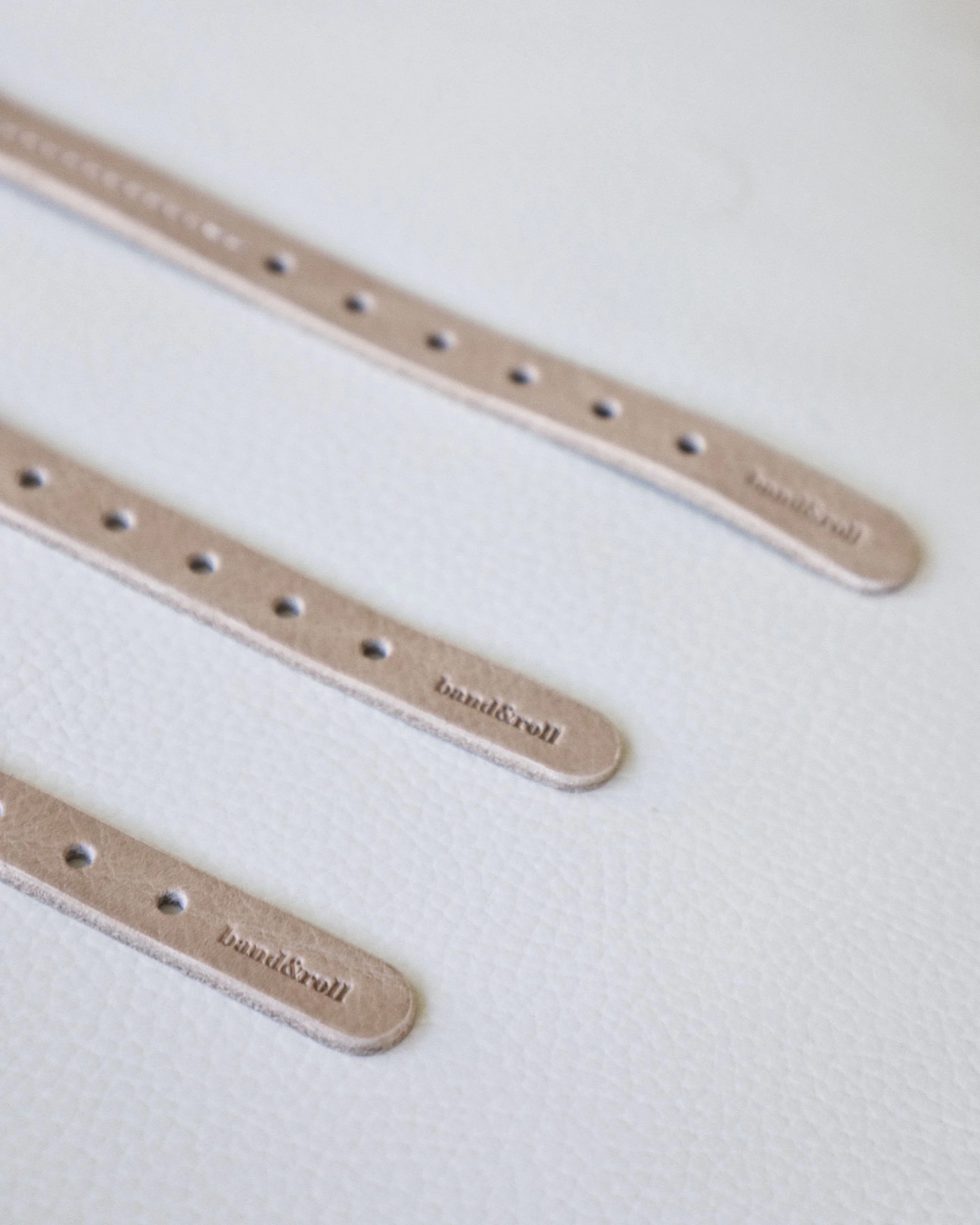 Band & Roll Leather Dog Collar in Latte - Image 5