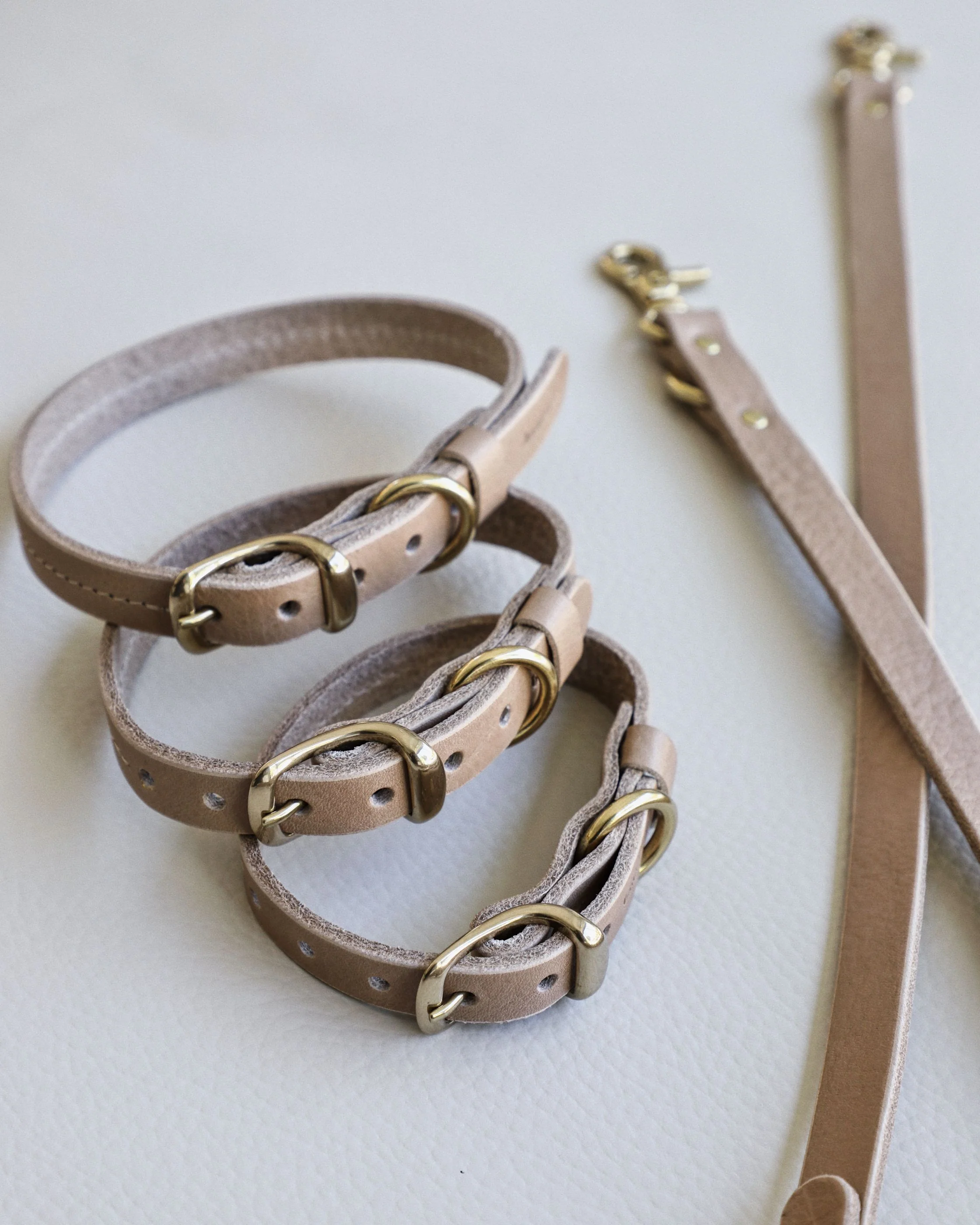 Band & Roll Leather Dog Collar in Latte - Image 6