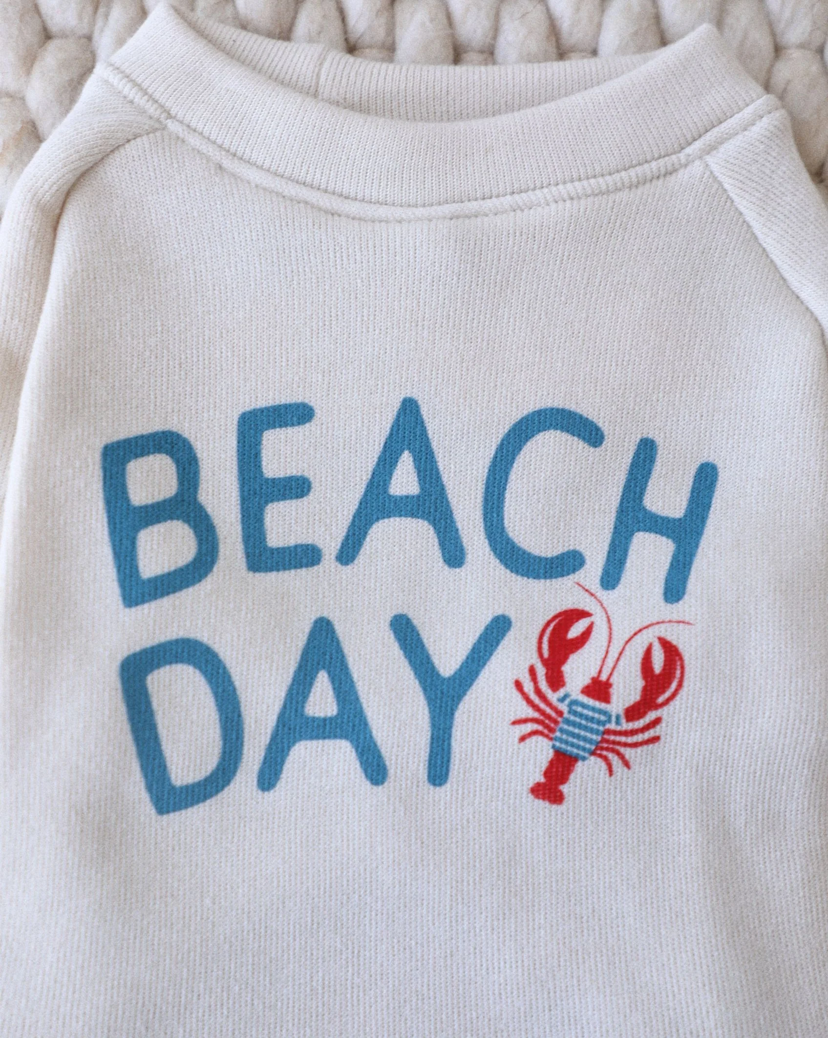 Beach Day Dog Sweatshirt - Image 2