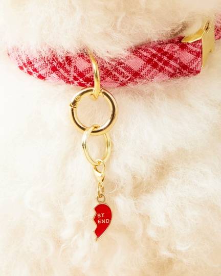 BFF Collar Charm Set - Image 3