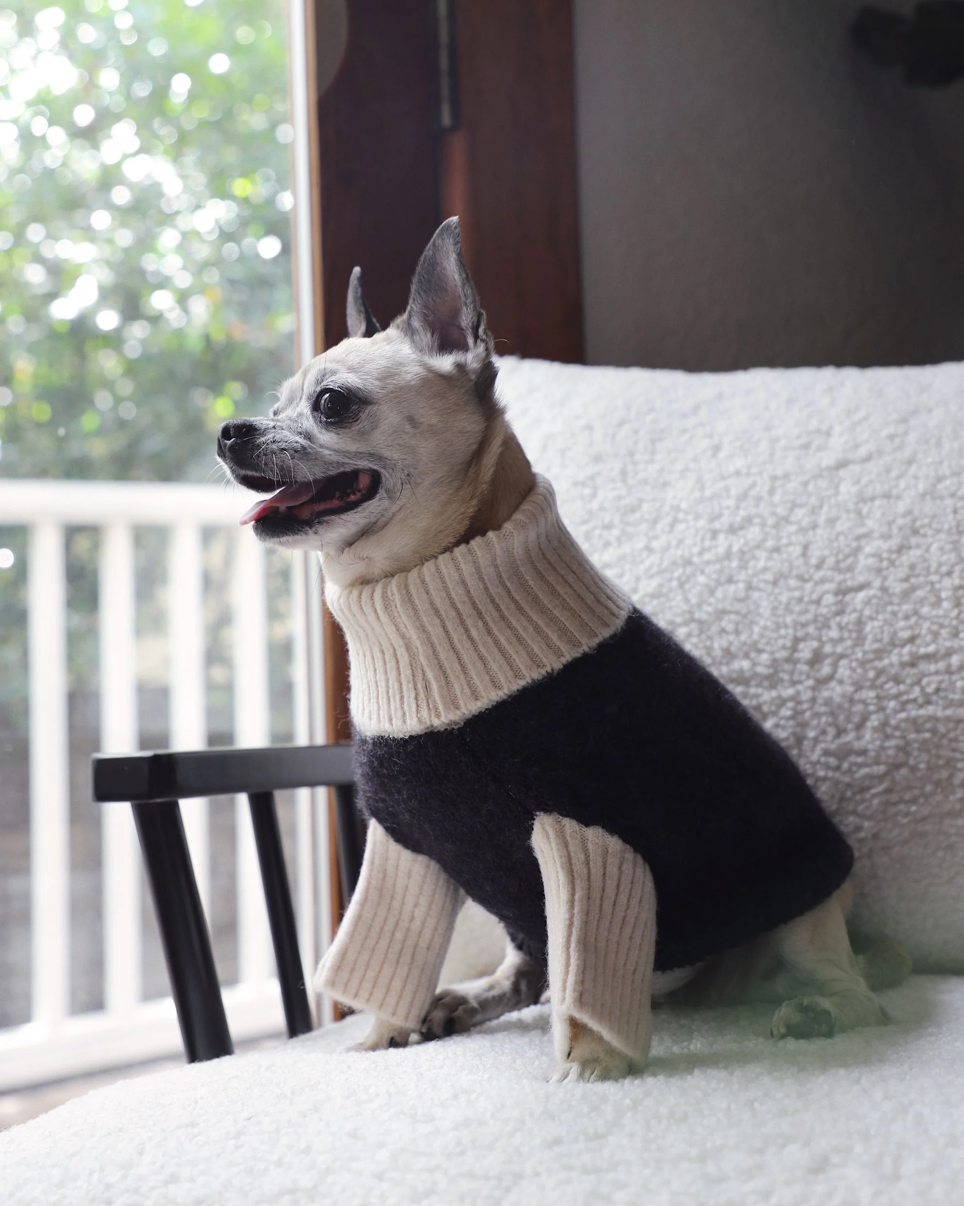 Felix Black + Ivory Dog Sweater - Image 2