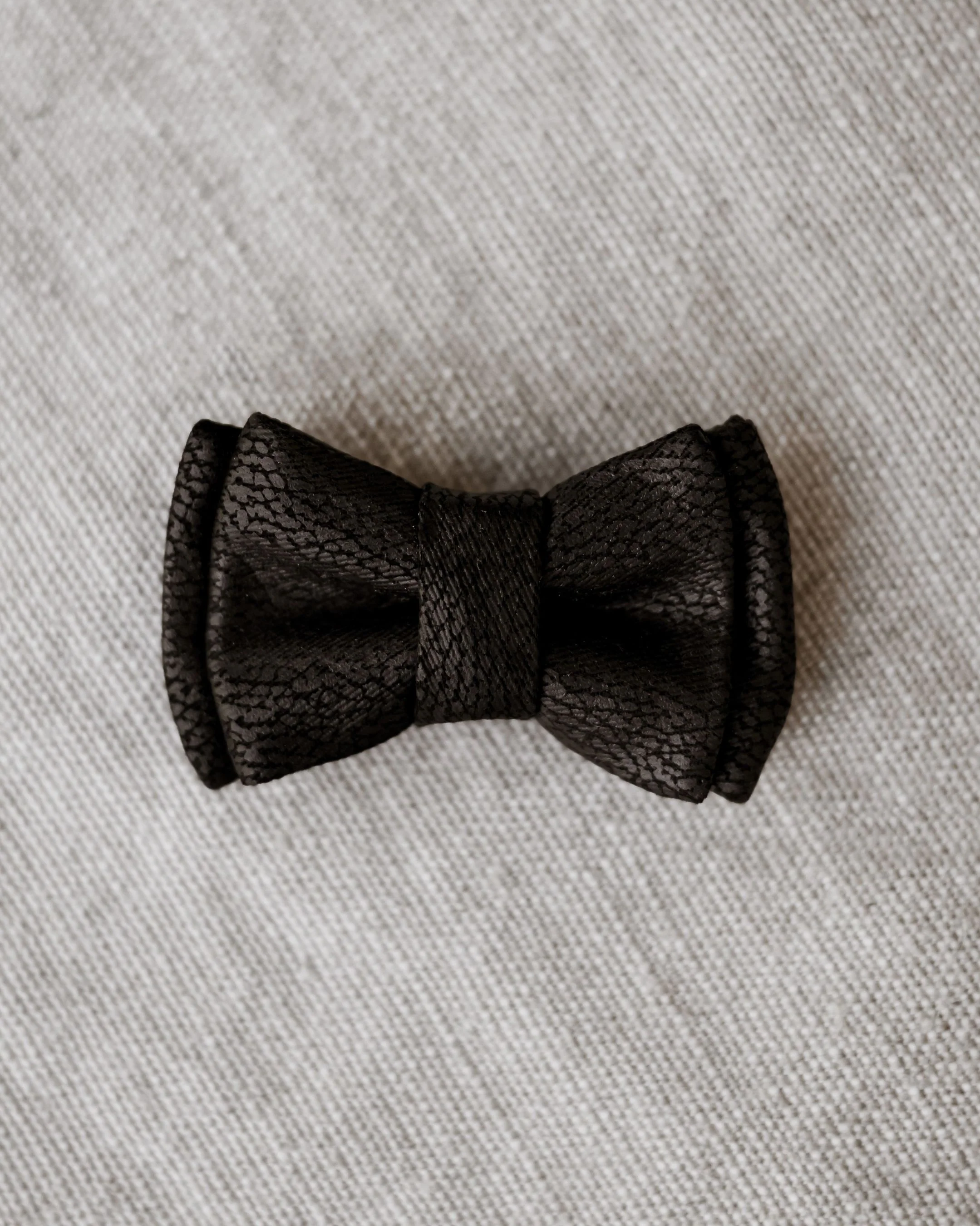 Nightlife Black Snake Dog Bow Tie