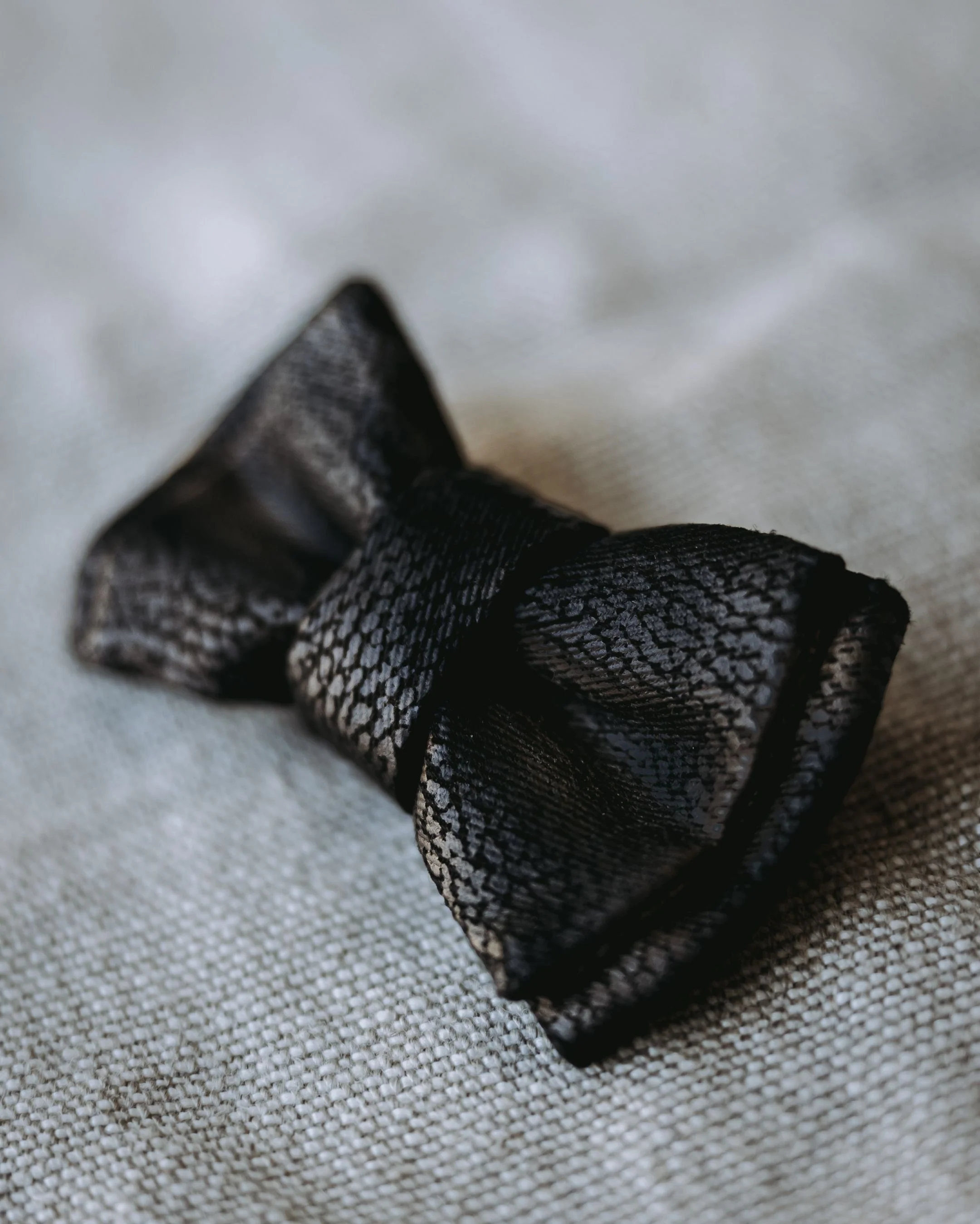 Nightlife Black Snake Dog Bow Tie - Image 2