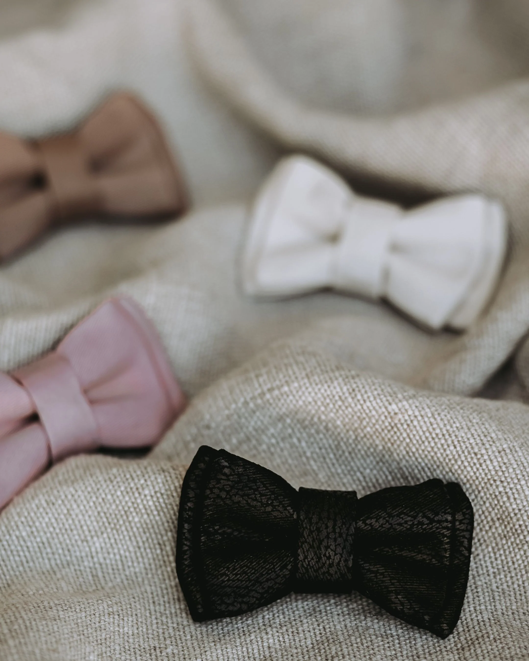Nightlife Black Snake Dog Bow Tie - Image 3