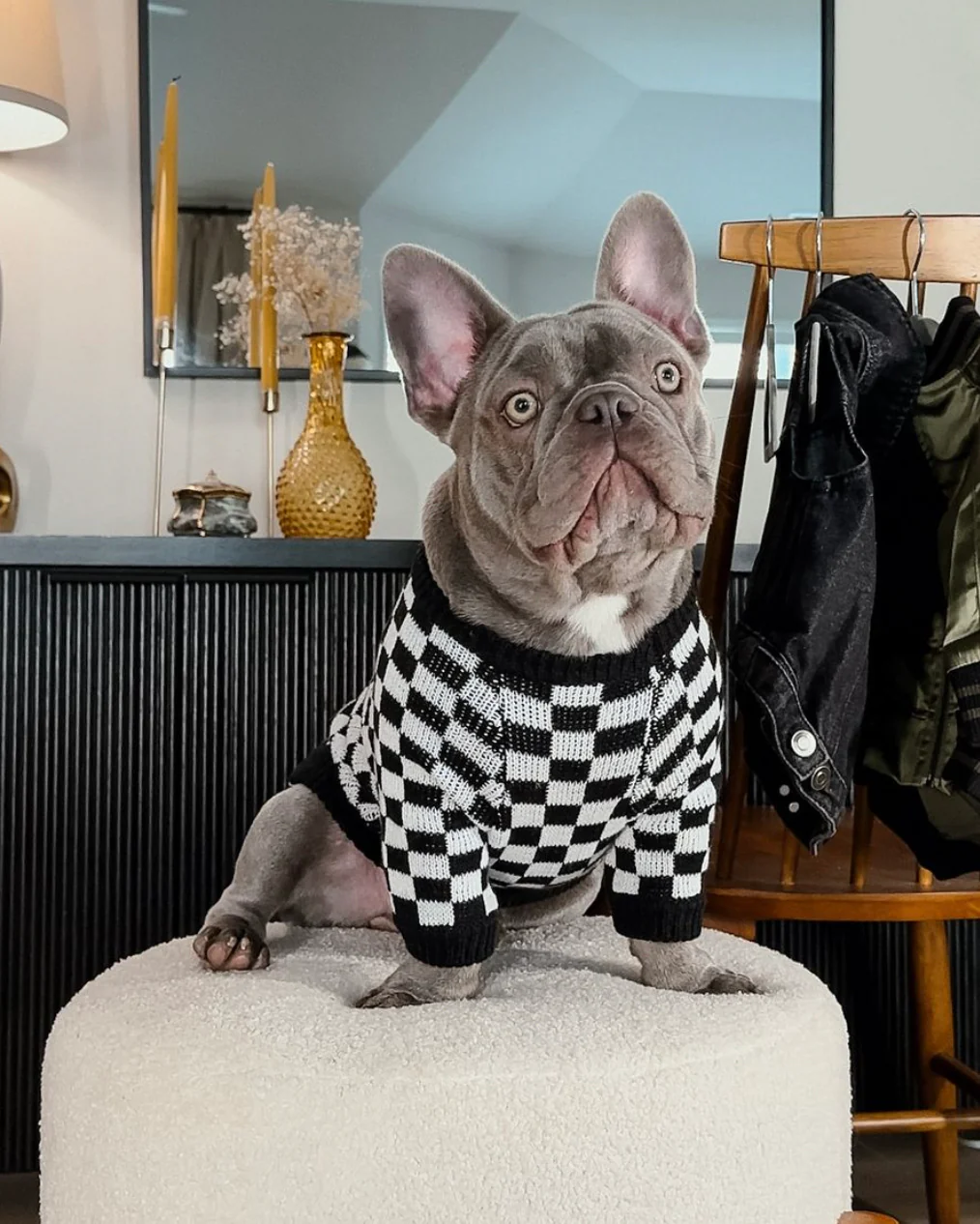 Arlo Black Check Dog Sweater - Image 11