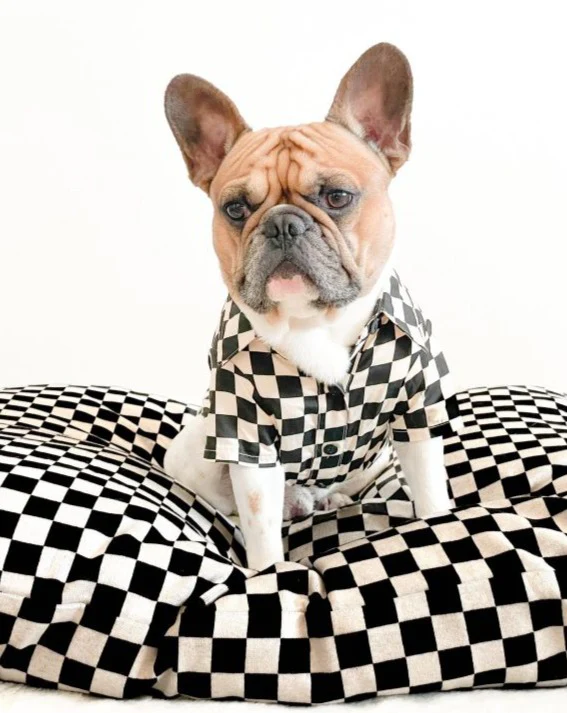 Best in Show Check Dog Bed - Image 10