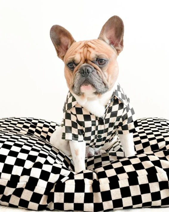 Ryder Black Check Dog Shirt - Image 9