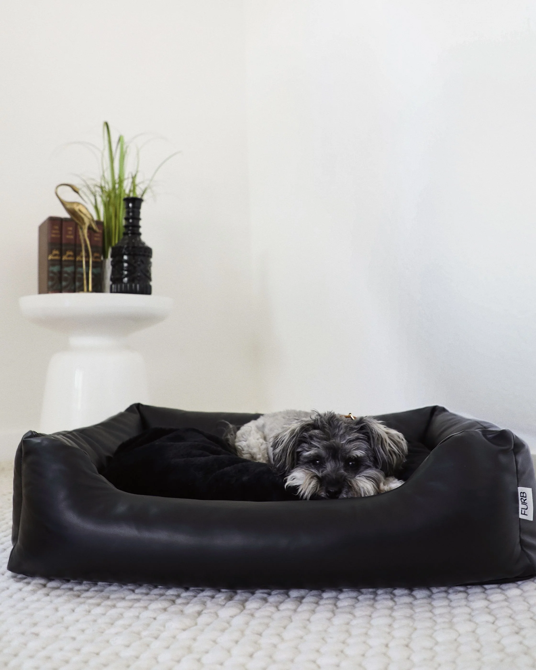 All Curled Up Black Structured Bed - Image 5