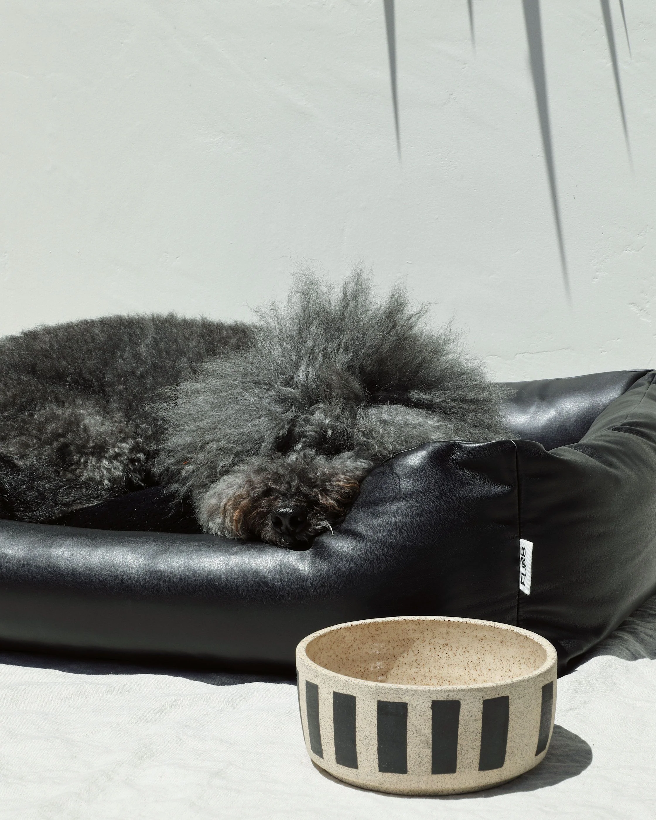 All Curled Up Black Structured Bed - Image 6