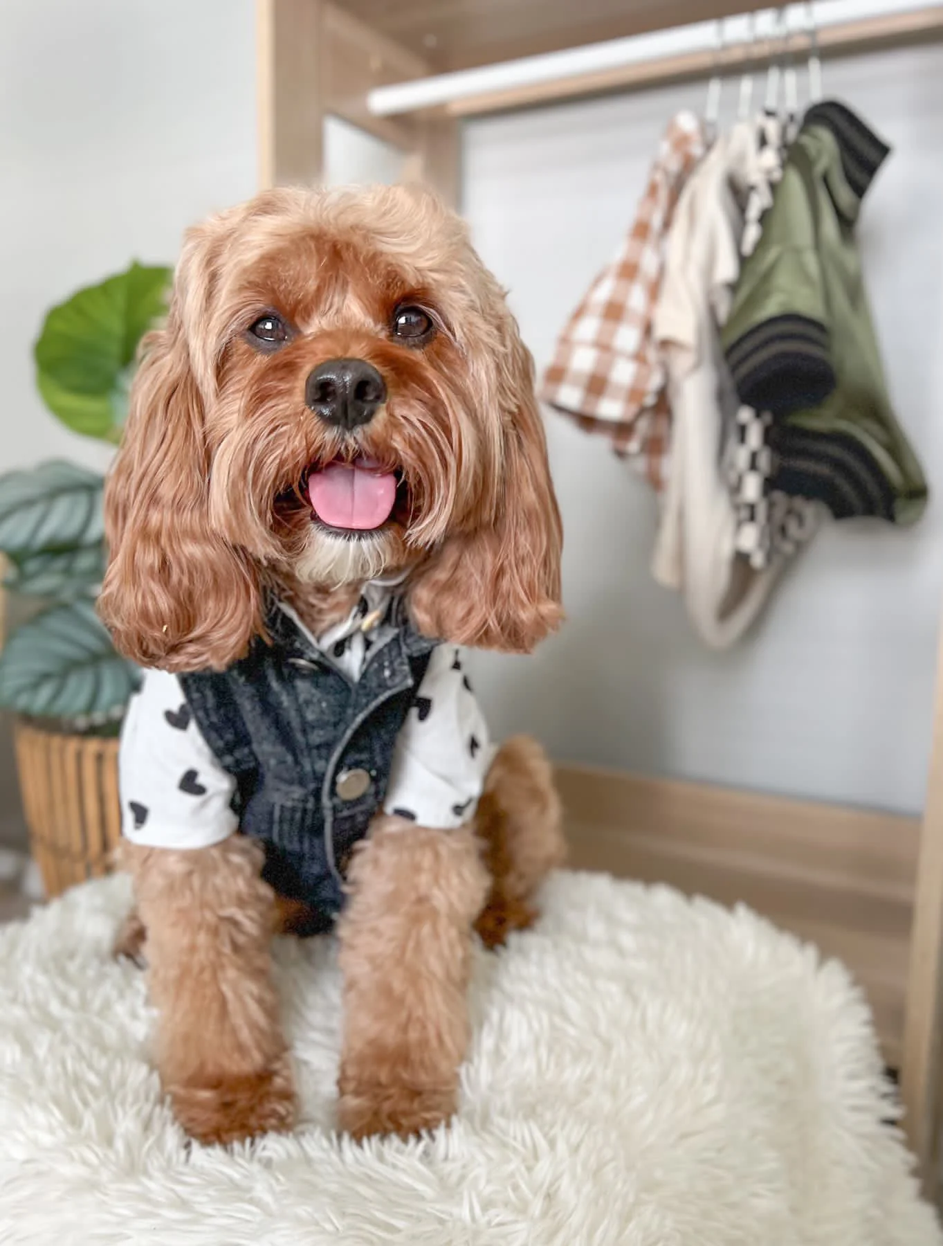Mack Black Denim Hooded Vest - Image 5