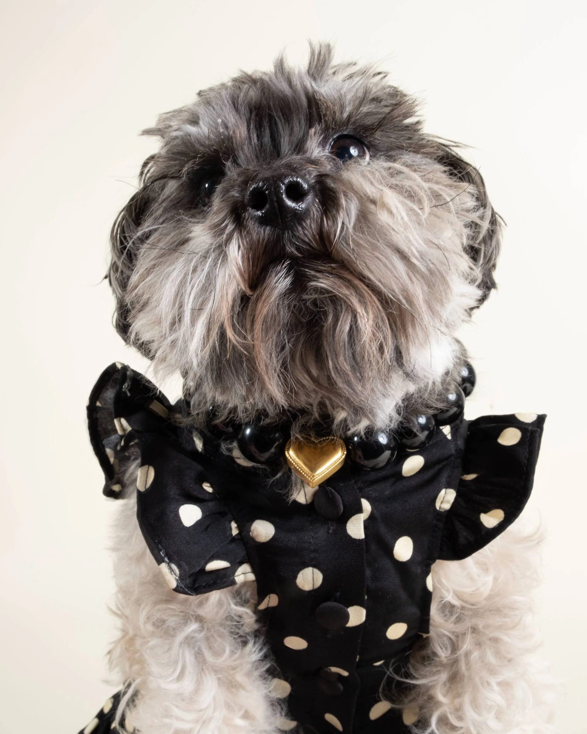 Gigi Black + Ivory Polka Dot Dress - Image 10