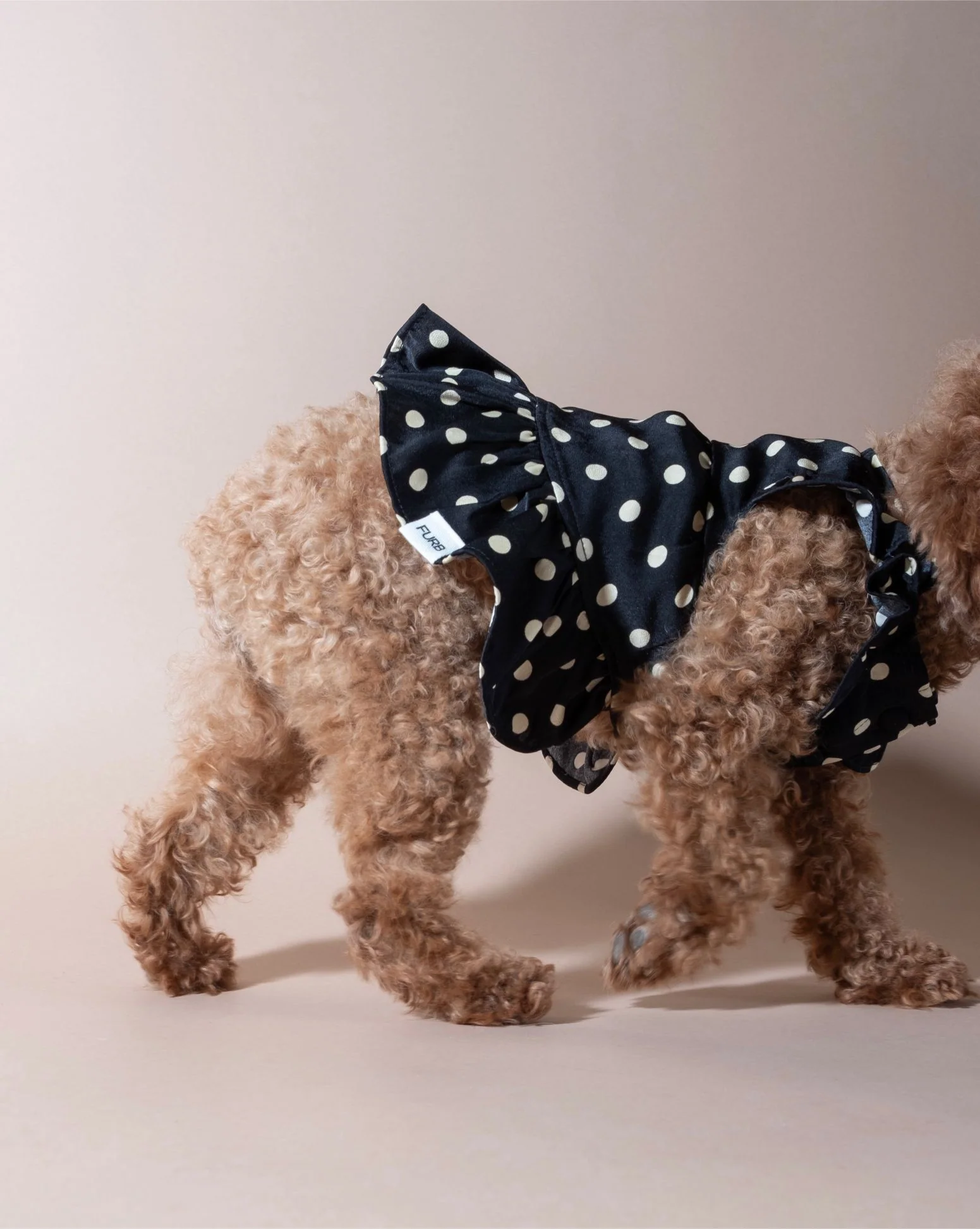 Gigi Black + Ivory Polka Dot Dress - Image 4