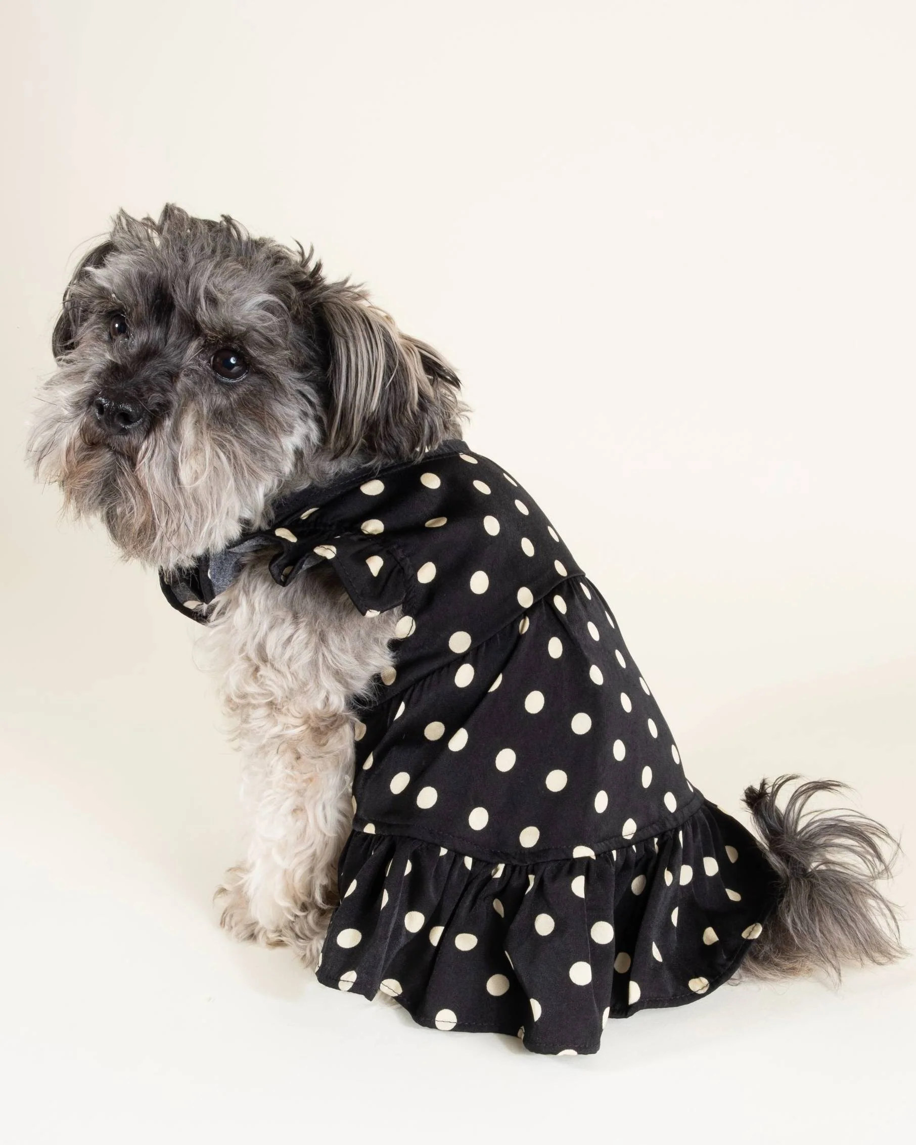 Gigi Black + Ivory Polka Dot Dress - Image 8