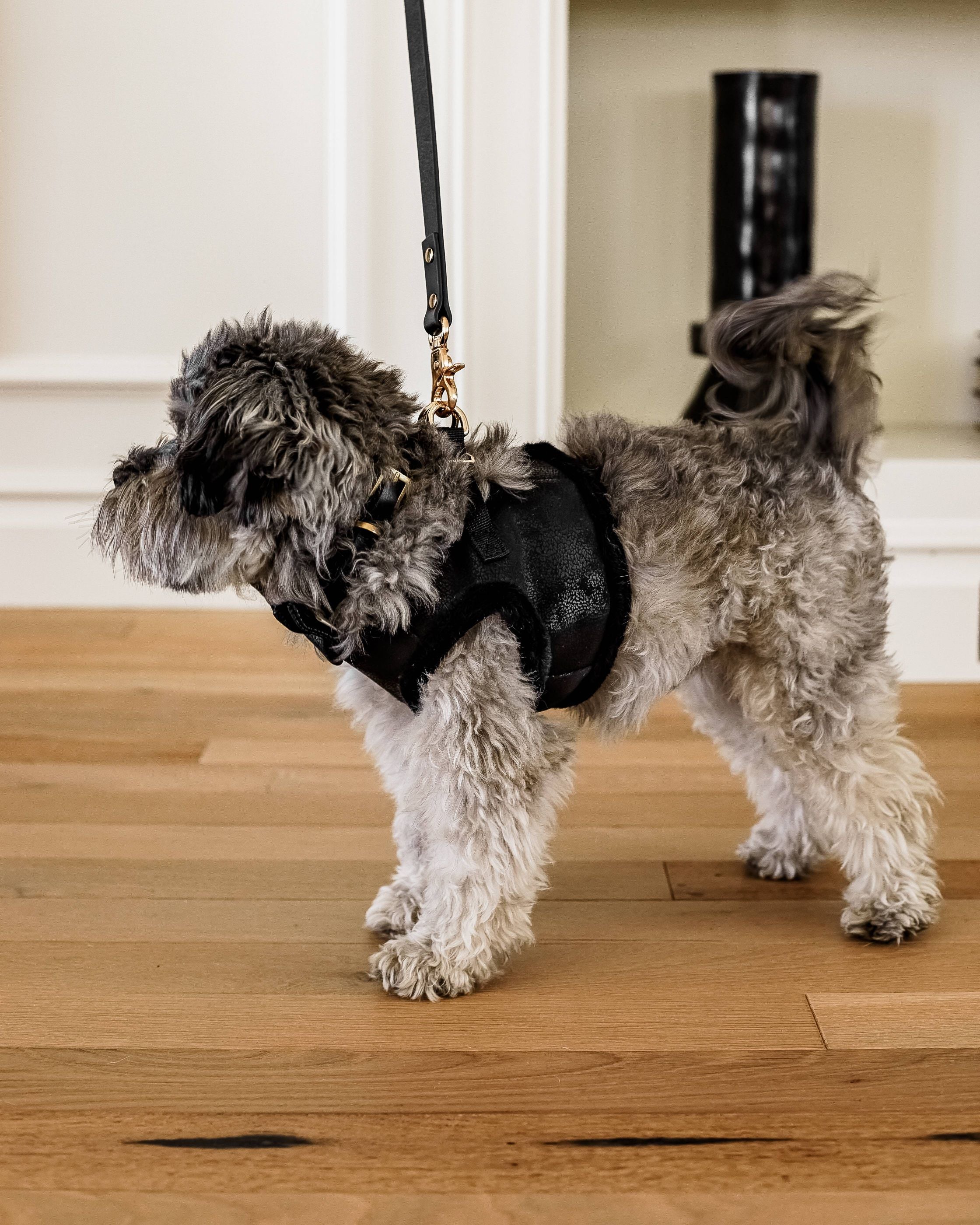 Hot to Trot Coated Fabric Harness - Image 2