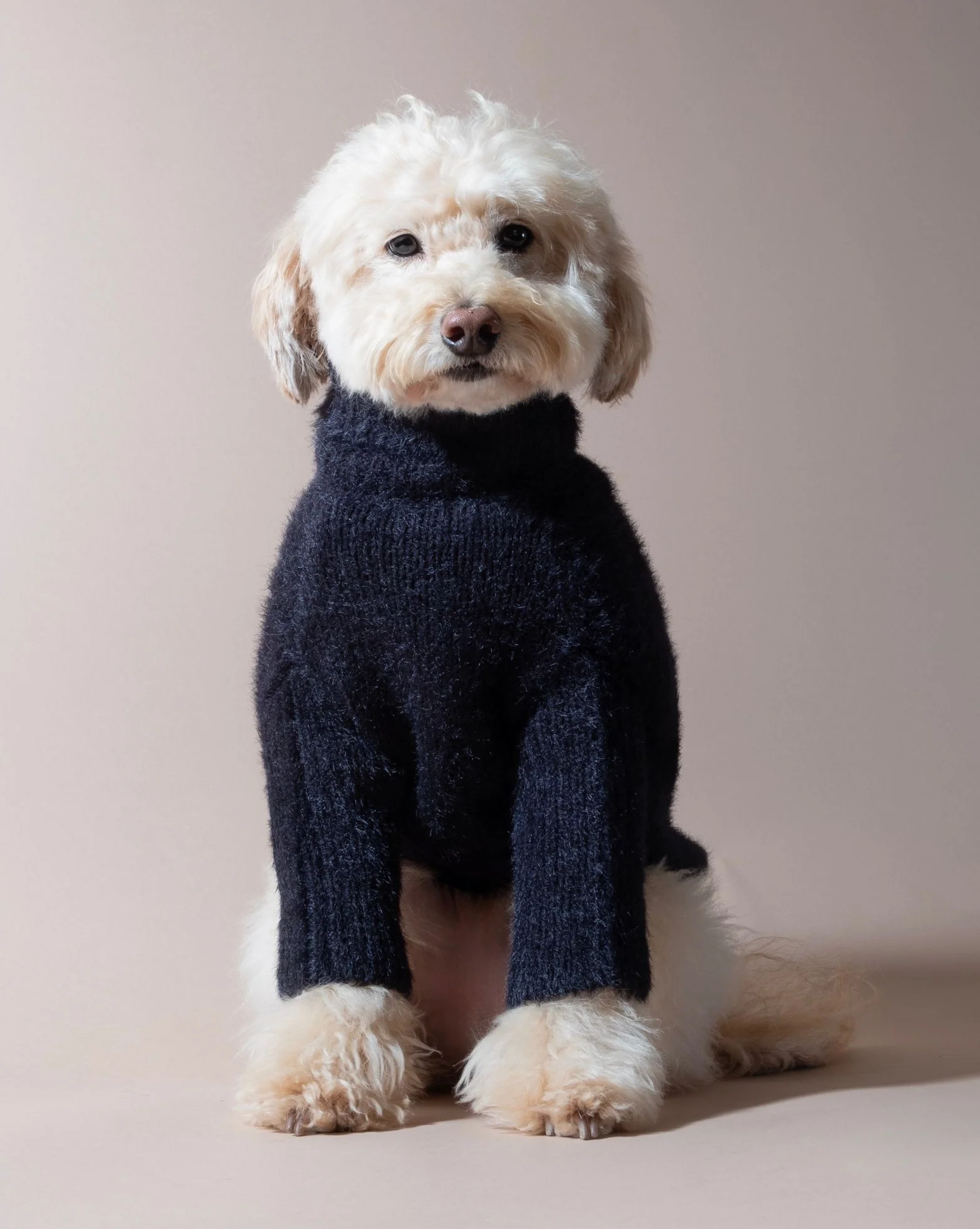 Bobbi Black Eyelash Knit Dog Sweater