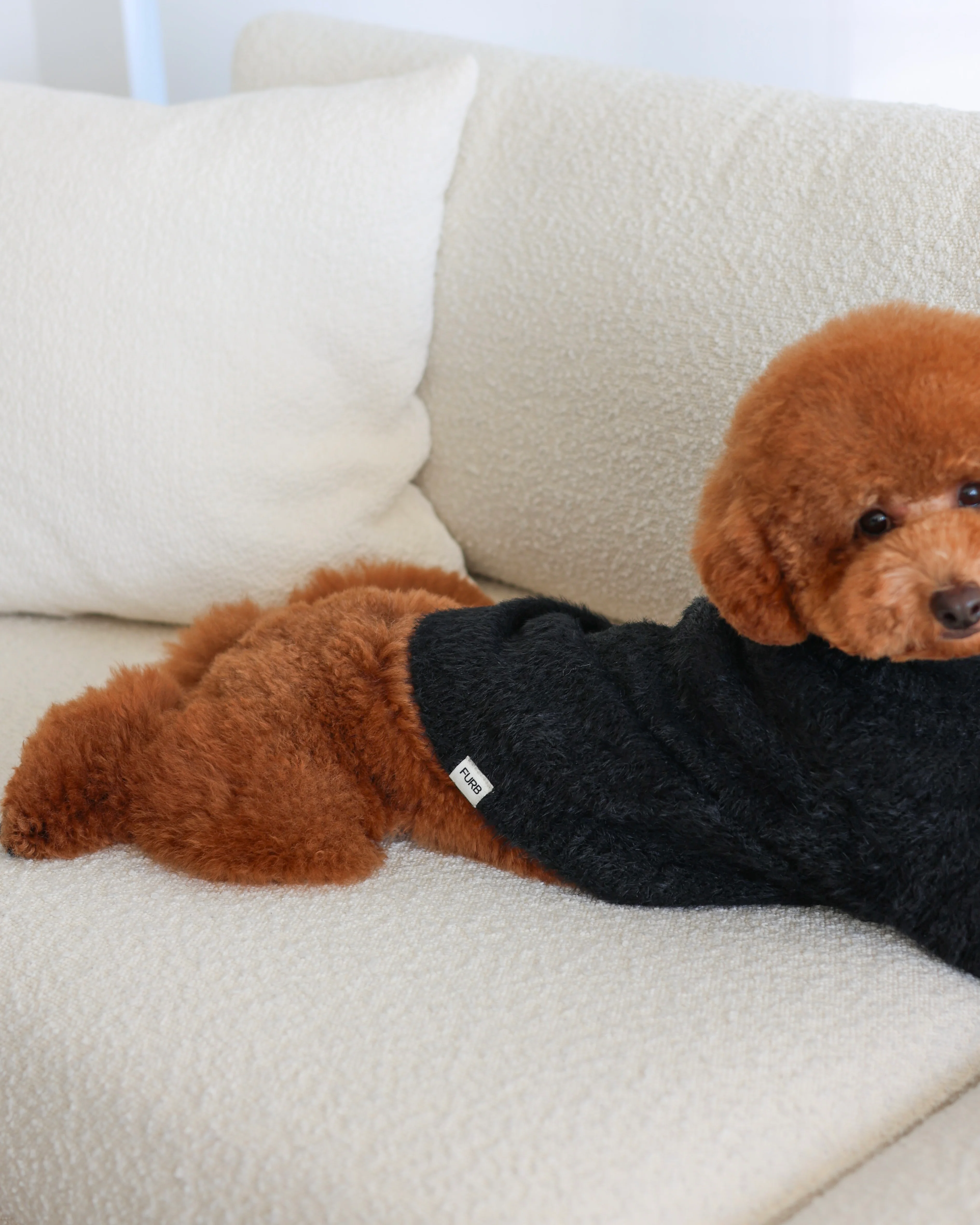 Bobbi Black Eyelash Knit Dog Sweater - Image 10