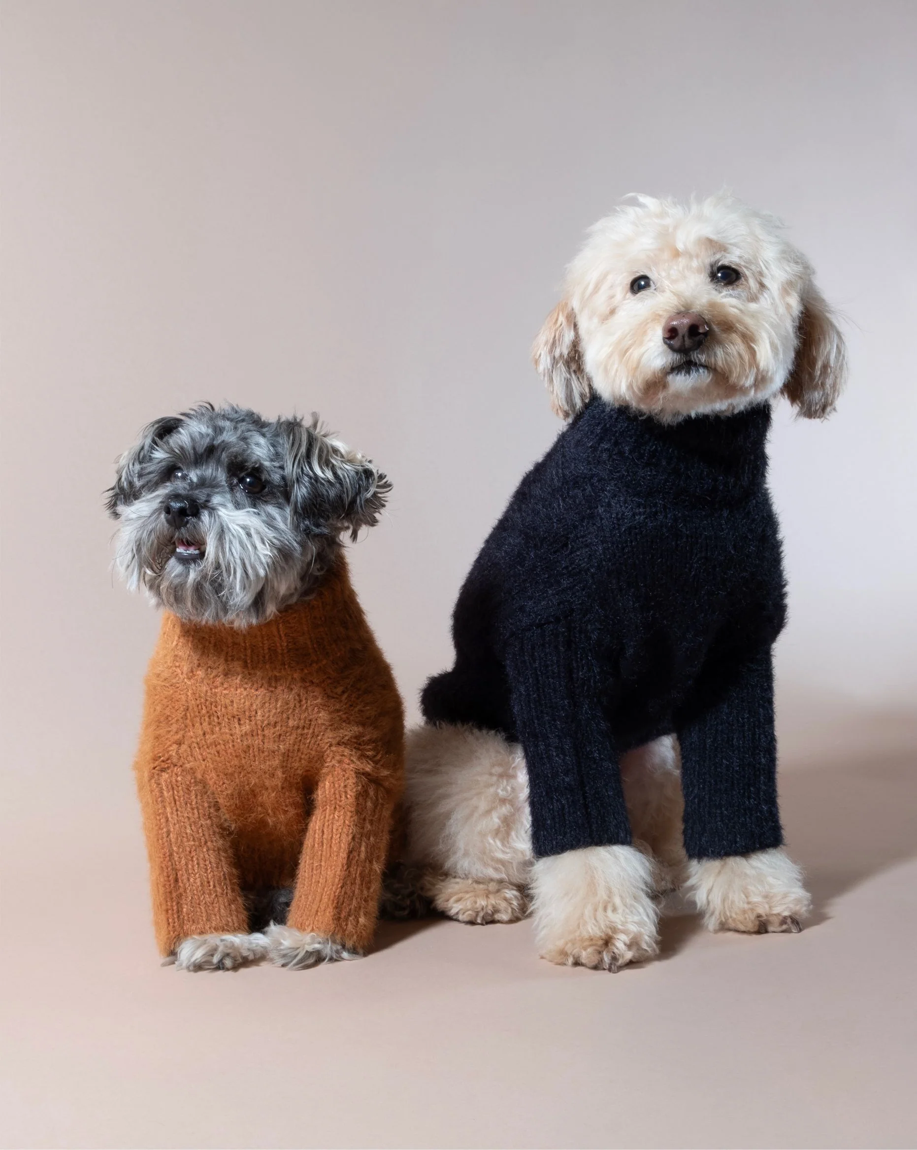 Bobbi Black Eyelash Knit Dog Sweater - Image 6