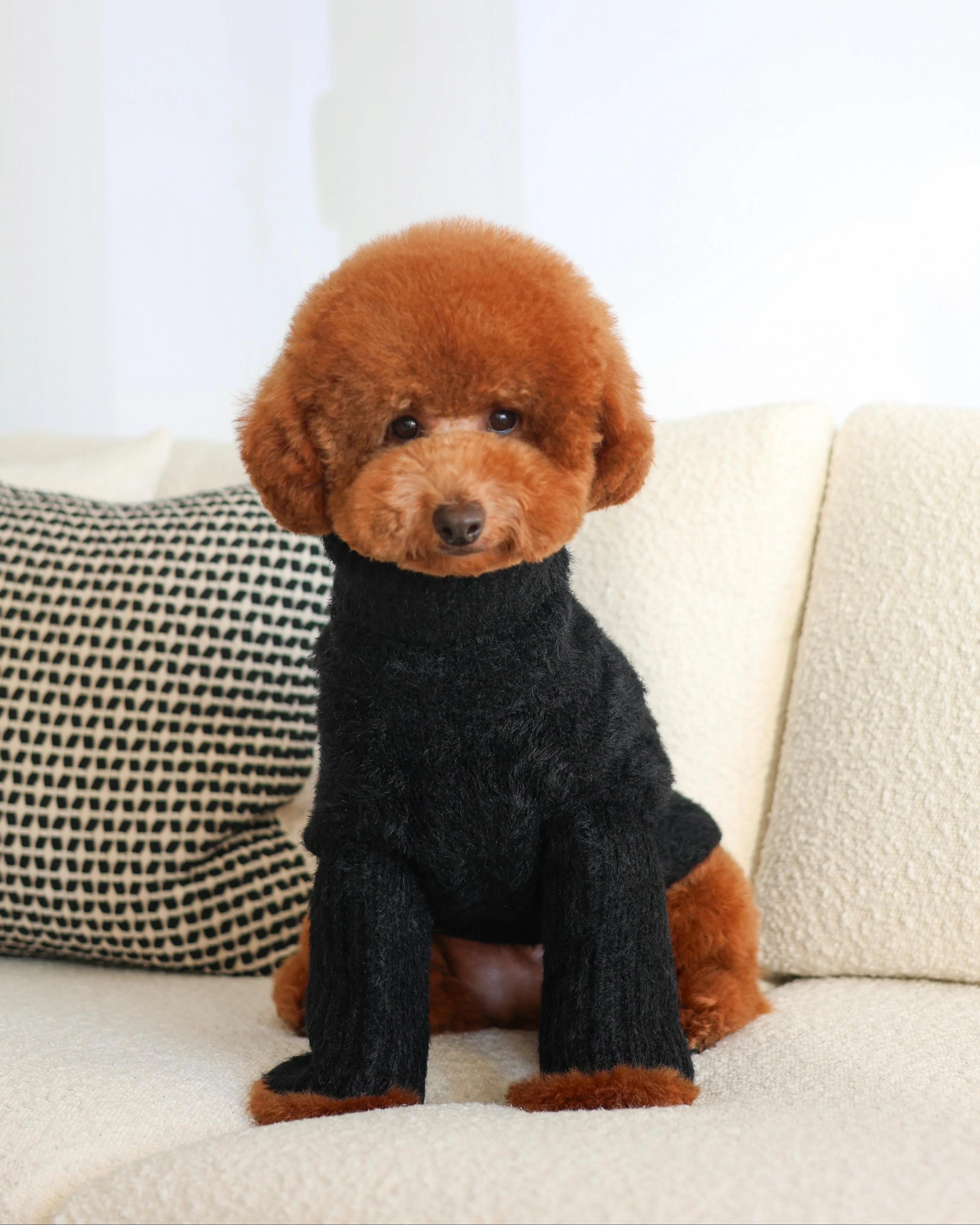 Bobbi Black Eyelash Knit Dog Sweater - Image 7