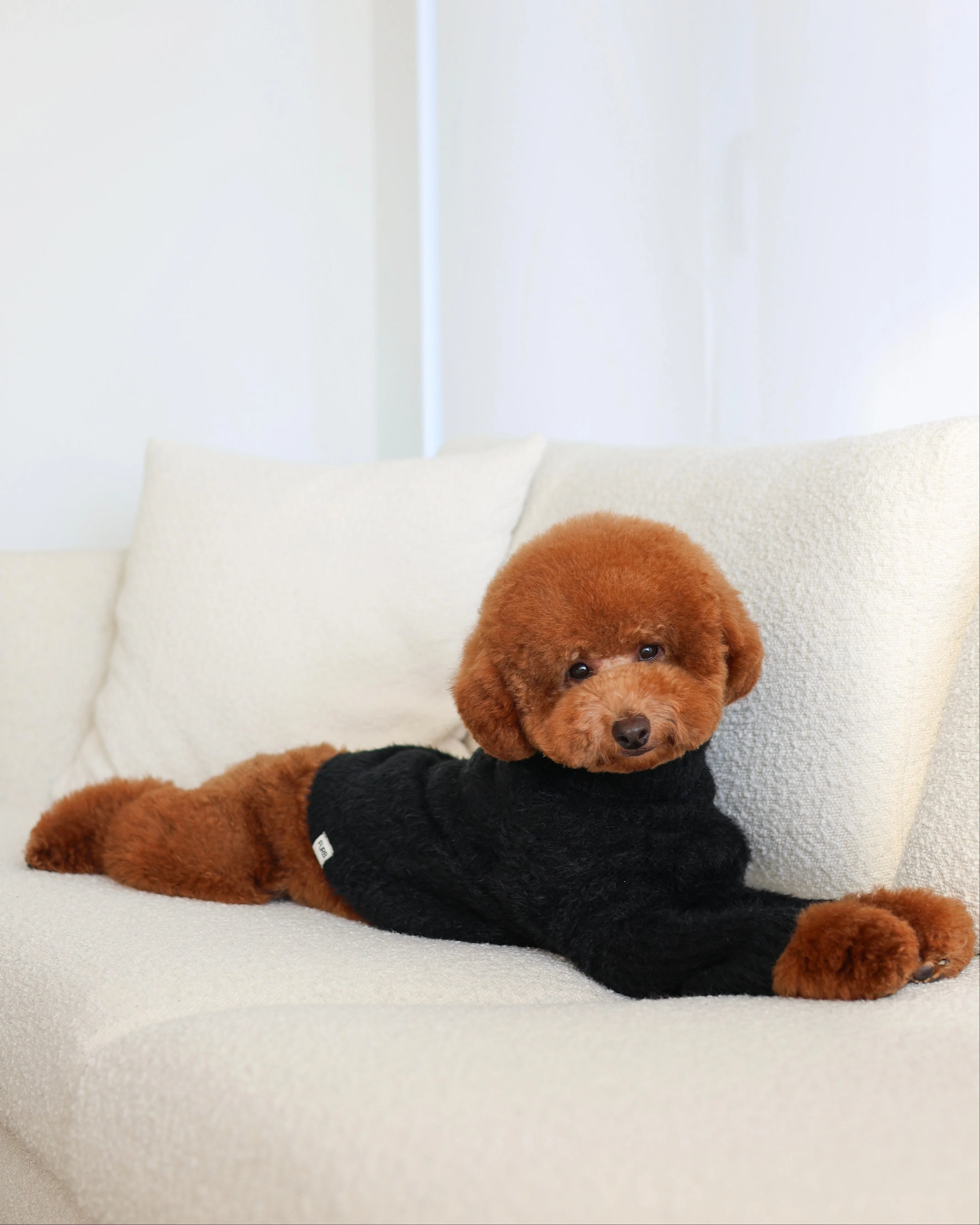 Bobbi Black Eyelash Knit Dog Sweater - Image 8