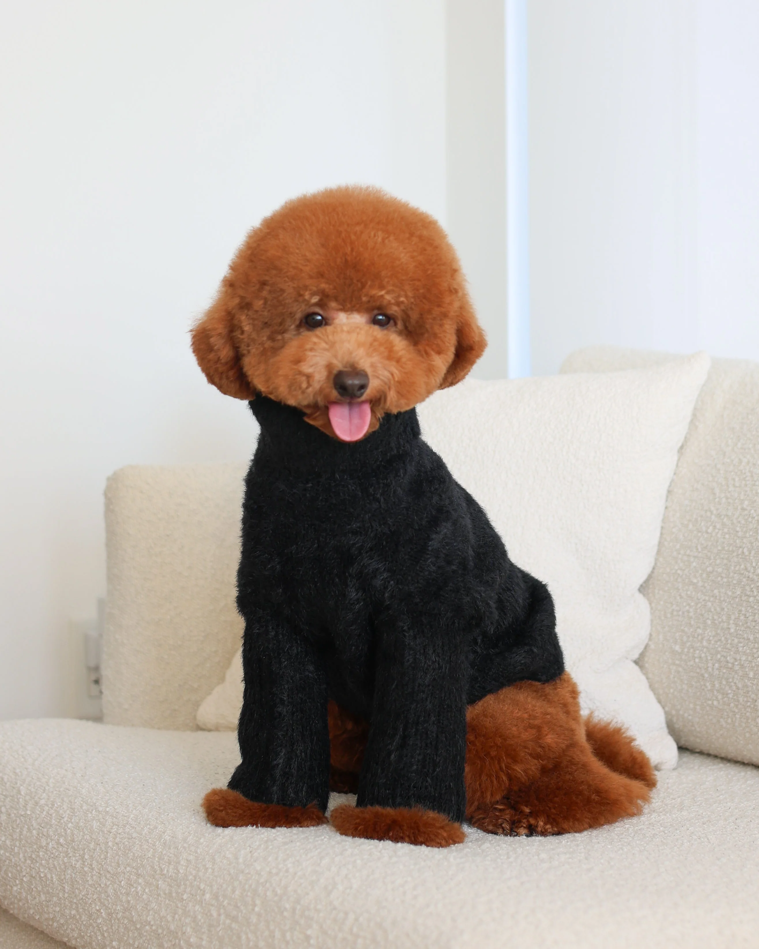 Bobbi Black Eyelash Knit Dog Sweater - Image 9