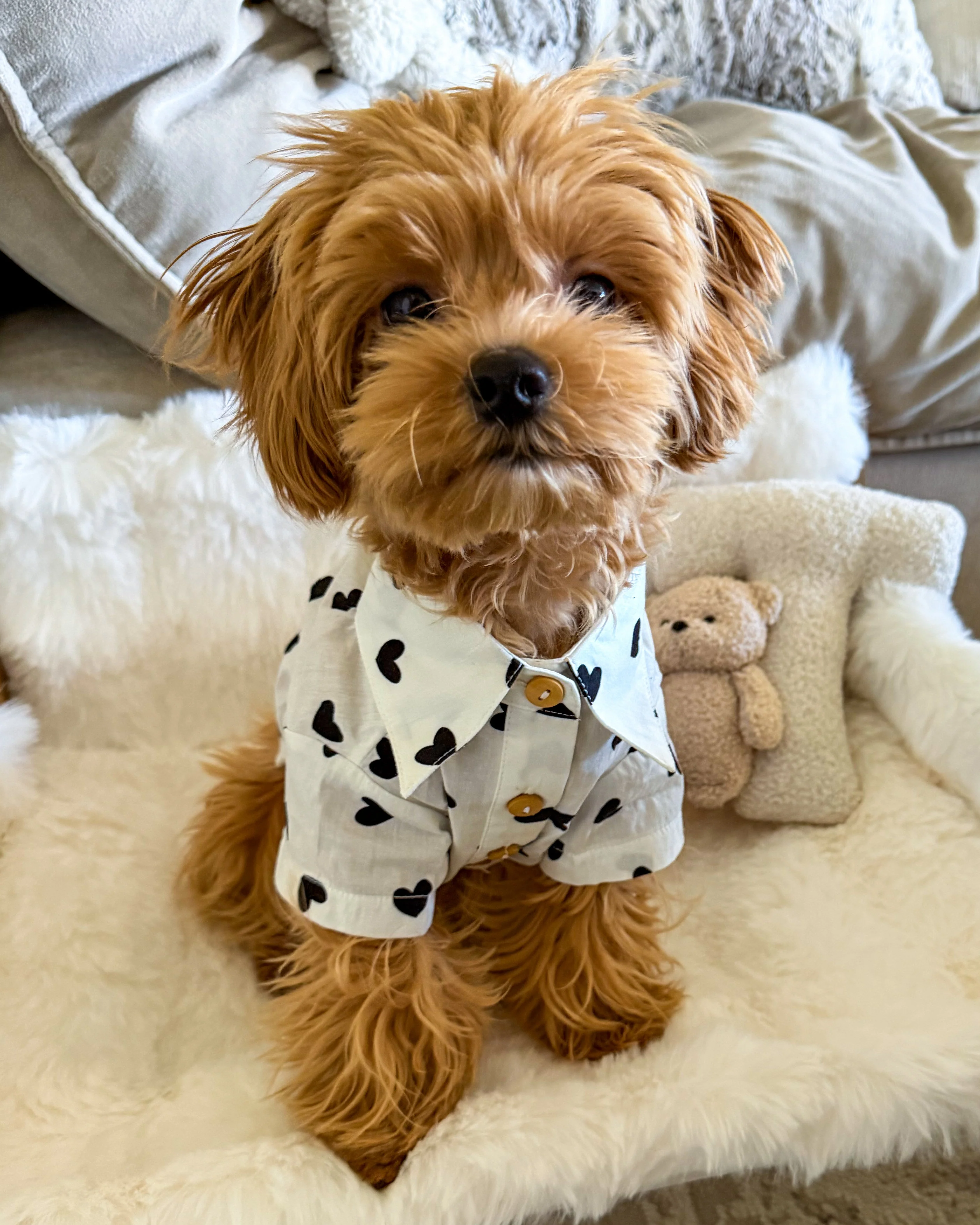 Puppy Love Heart Print Dog Shirt - Image 11