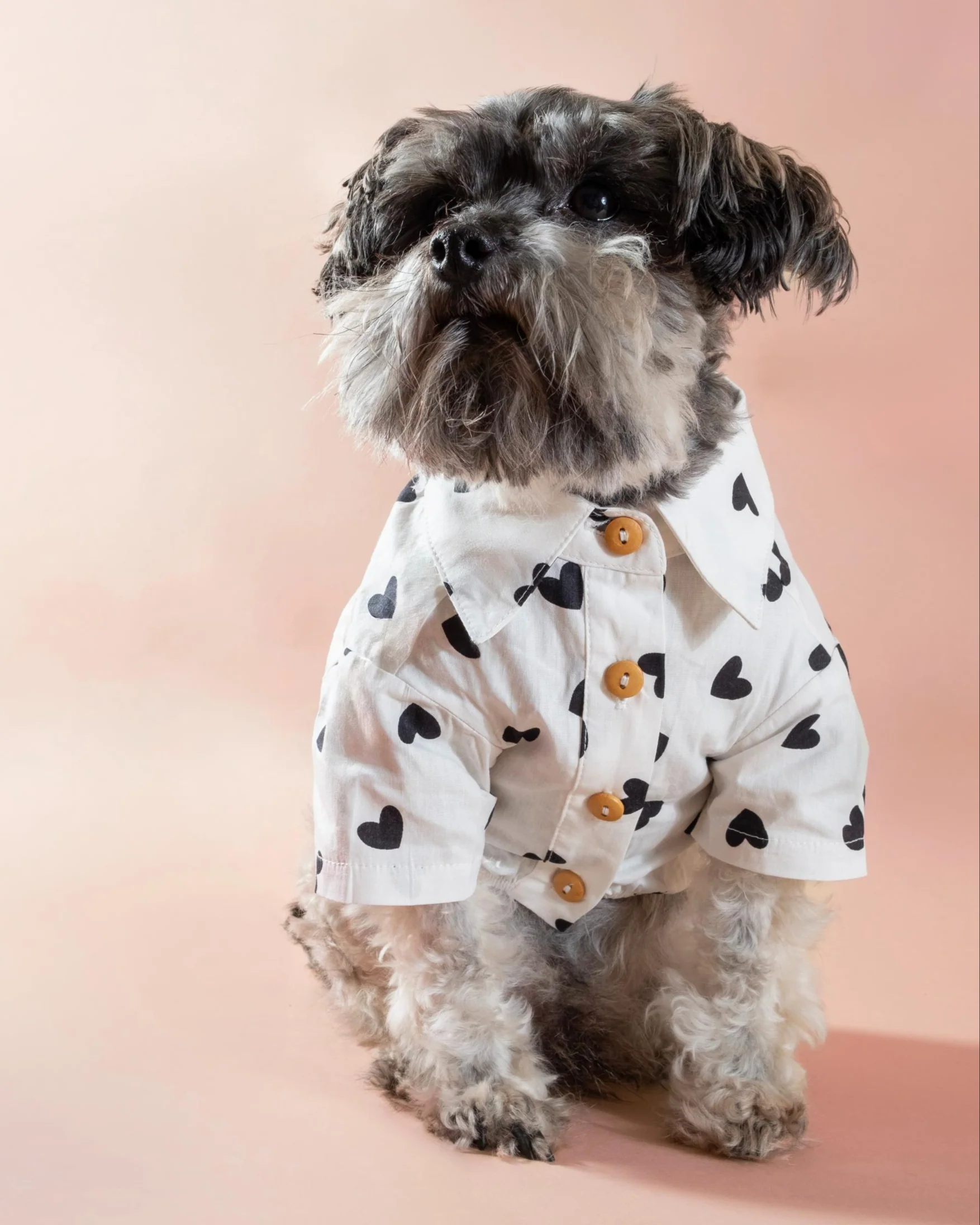 Puppy Love Heart Print Dog Shirt - Image 3