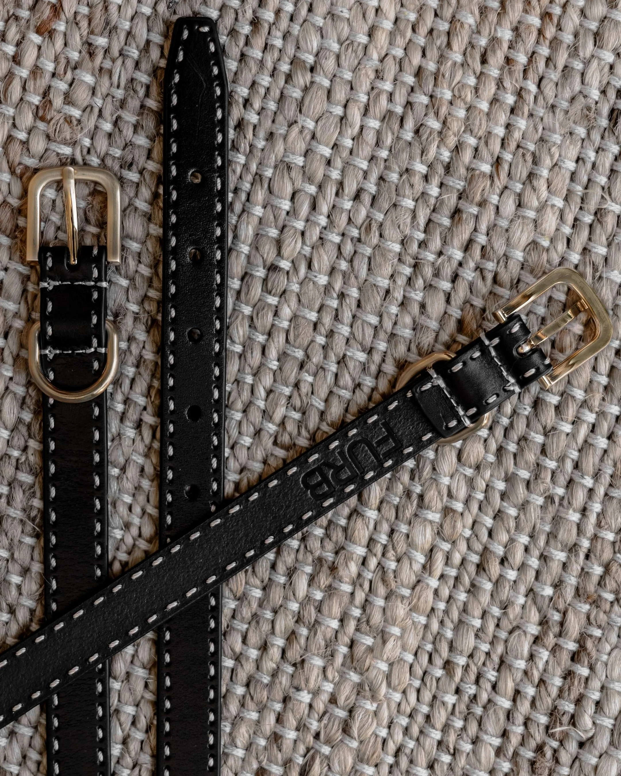 Take the Lead Black Leather Walk Kit, Collar + Leash - Image 3