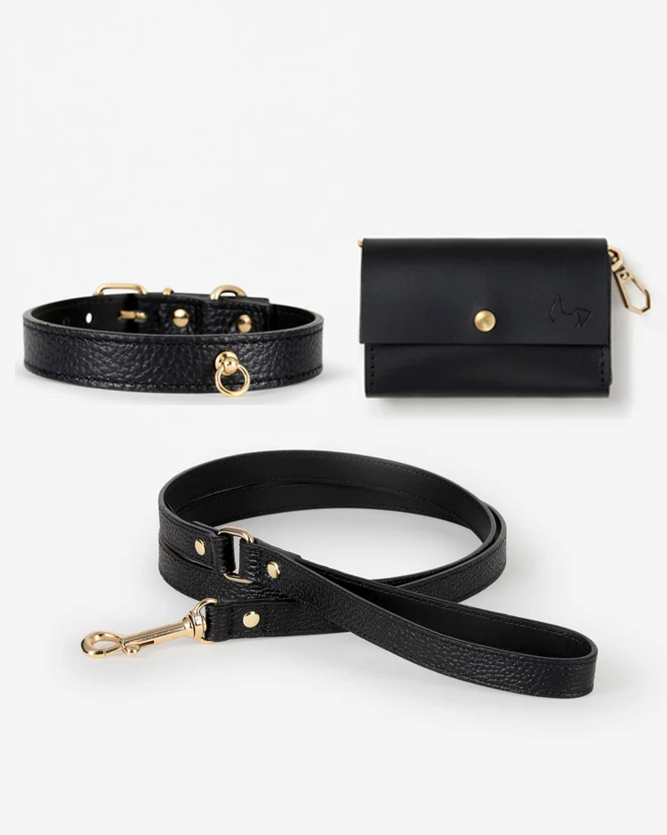 Nara Collar Black Leather Walk Kit