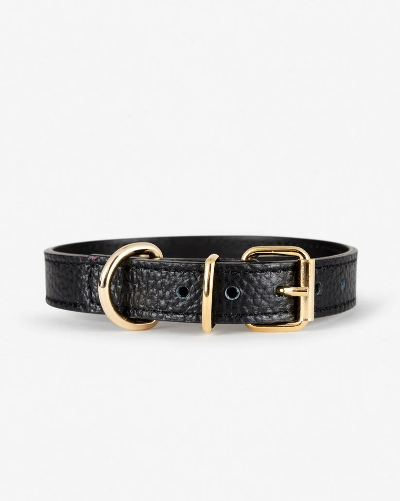Nara Collar Black Leather Walk Kit - Image 2