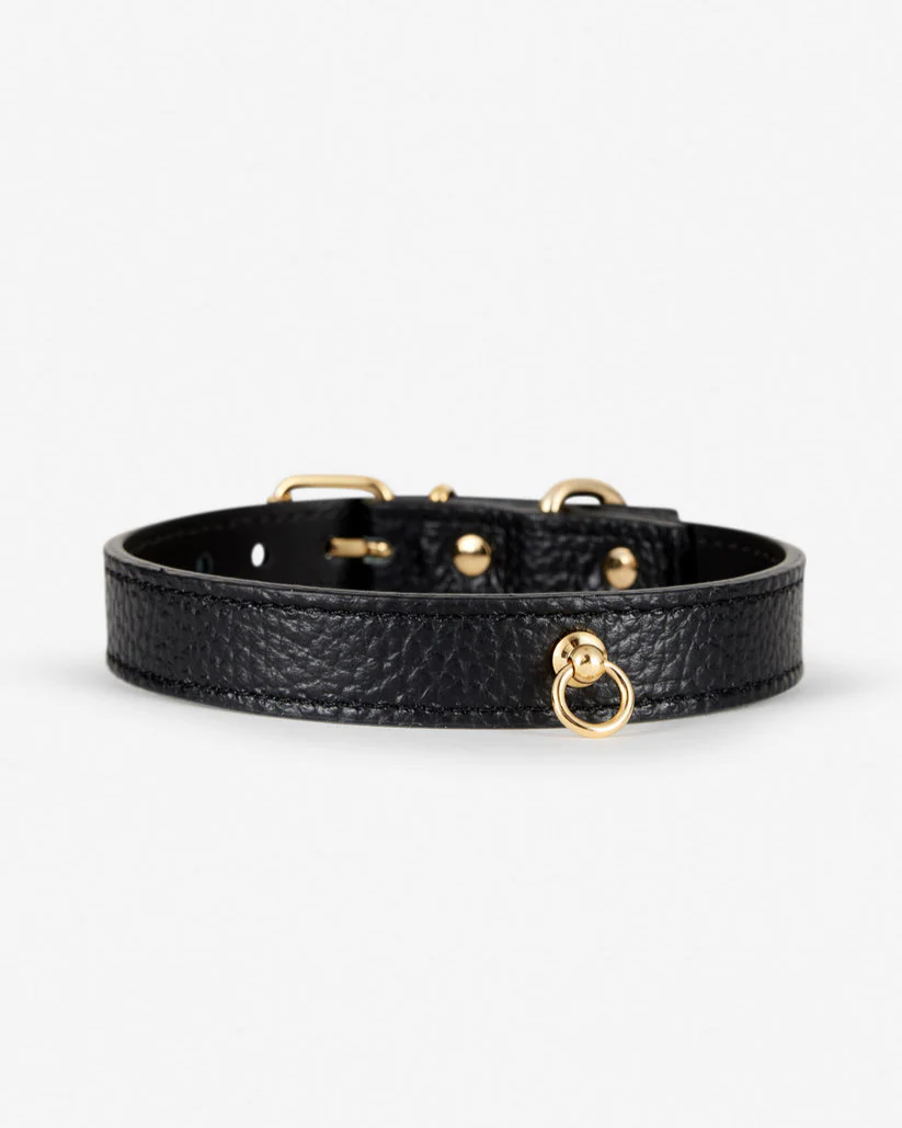 Nara Collar Black Leather Walk Kit - Image 5