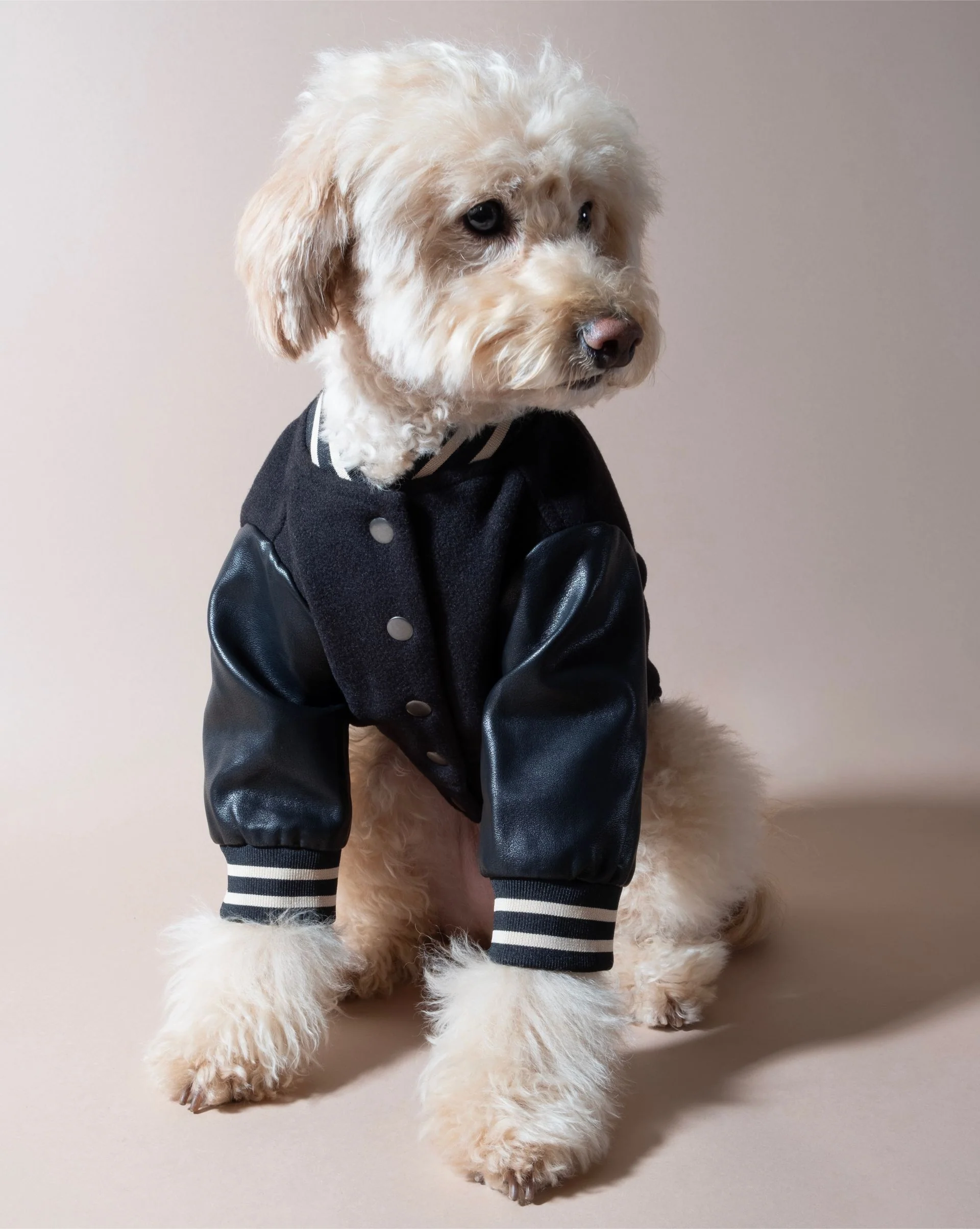 Leader of the Pack Black Letterman Jacket - Image 3